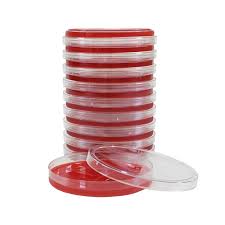 10pcs Pre-poured Agar Agar Petri Dishes