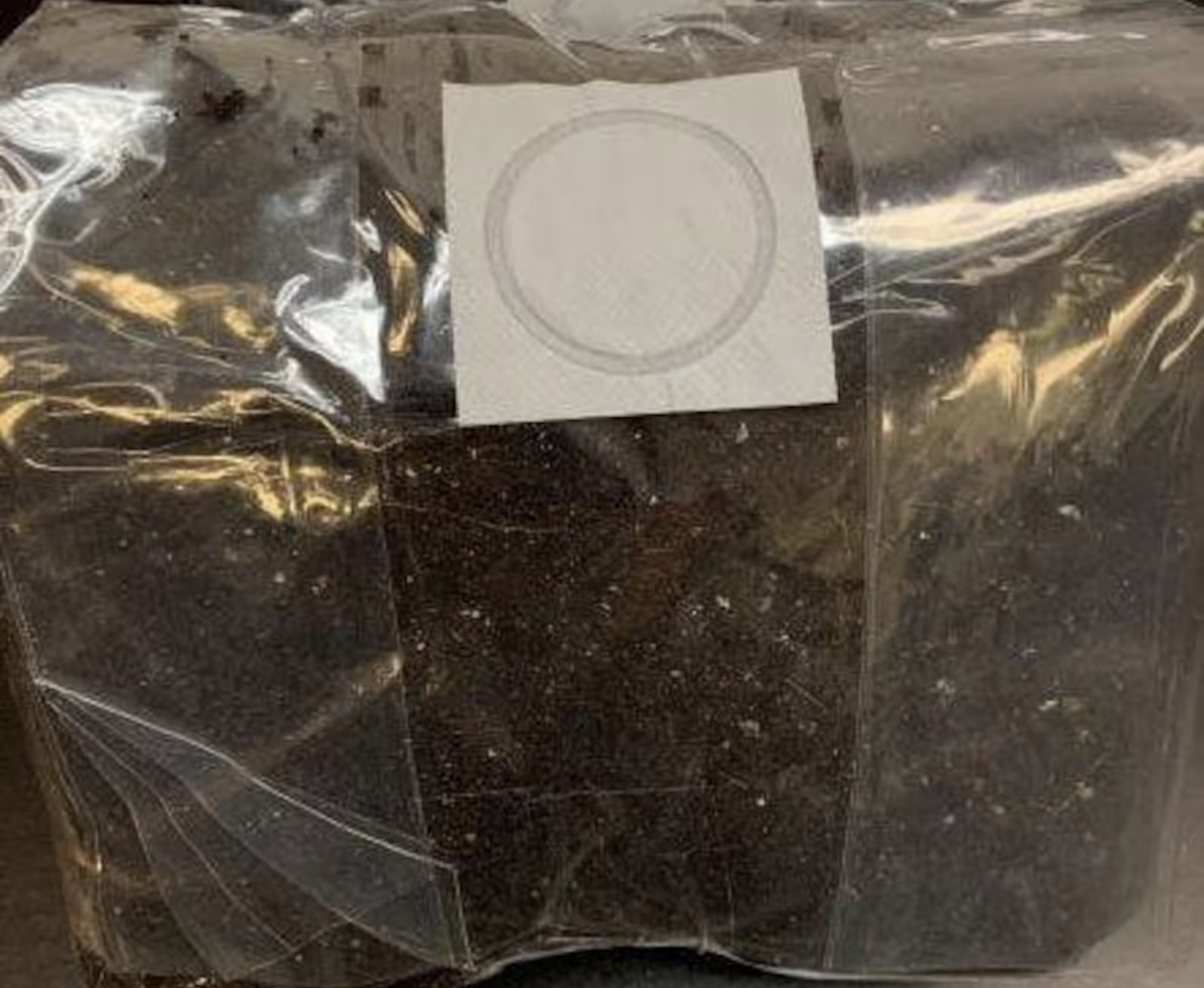 Pre-sterilised Bulk Substrate 2kg with Self-healing injection port