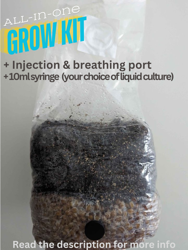 Grain Spawn Substrate Grow Kit (All-in-one + liquid culture syringe)