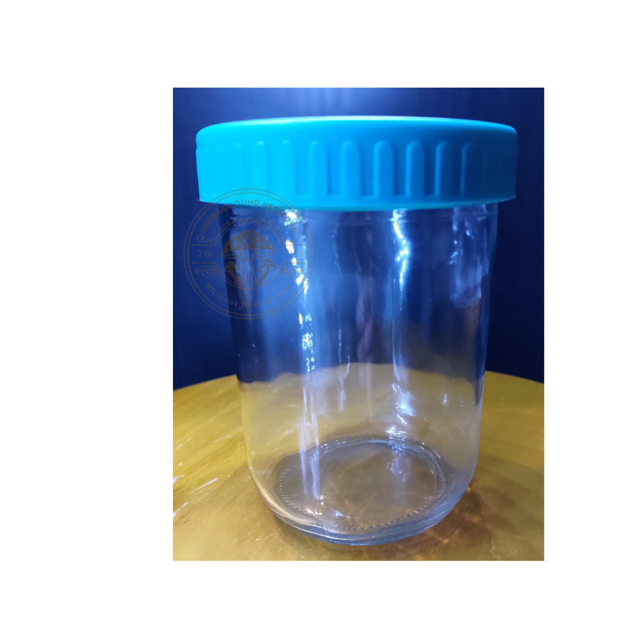 6/12/24 Plain Pint size Wide Mason Jar With Pressure canning Lid. Leakproof. BPA FREE. Food Safe. Great air tight storage. Dishwasher safe!