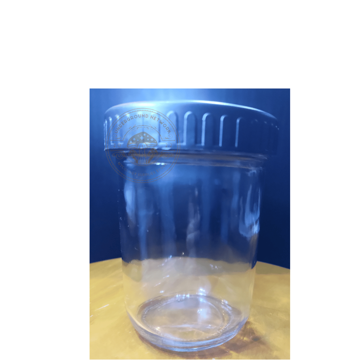 6/12/24 Plain Pint size Wide Mason Jar With Pressure canning Lid. Leakproof. BPA FREE. Food Safe. Great air tight storage. Dishwasher safe!