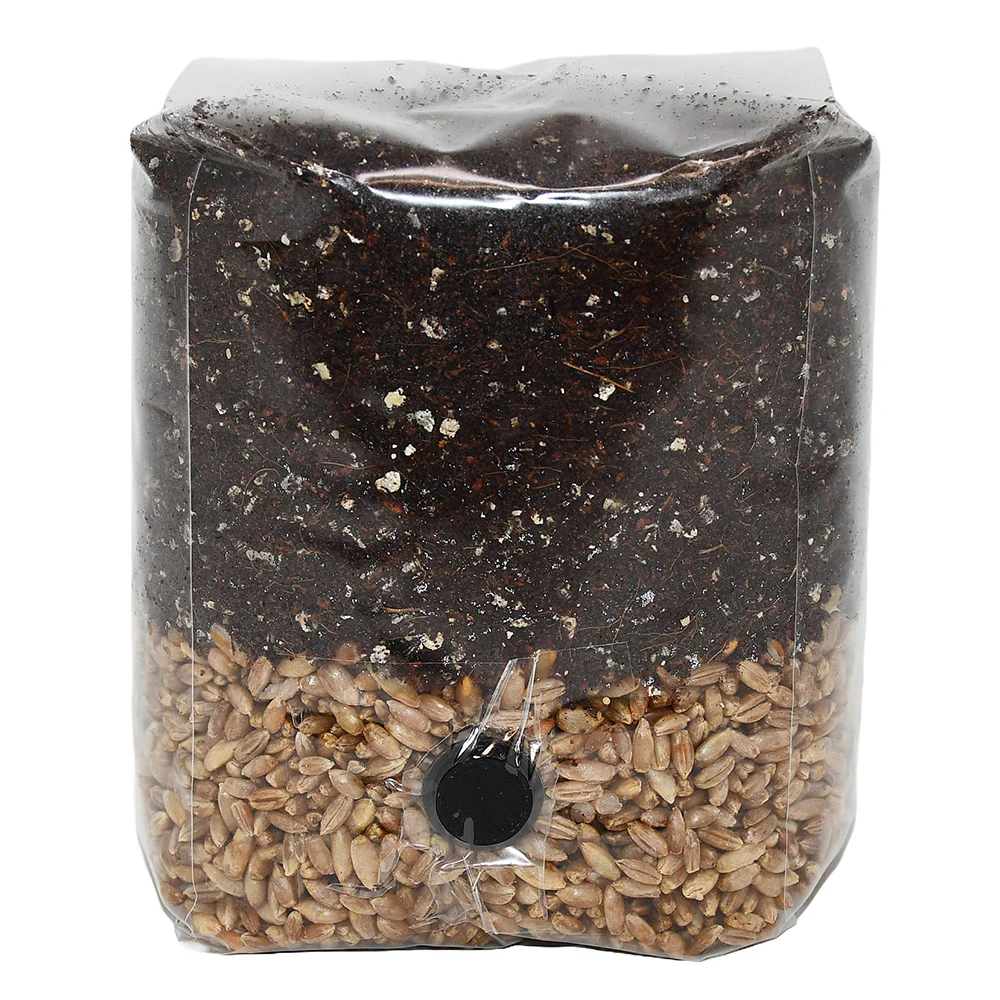 MAGICAL Sterile Ready for inoculation All-in-One Grow Bag