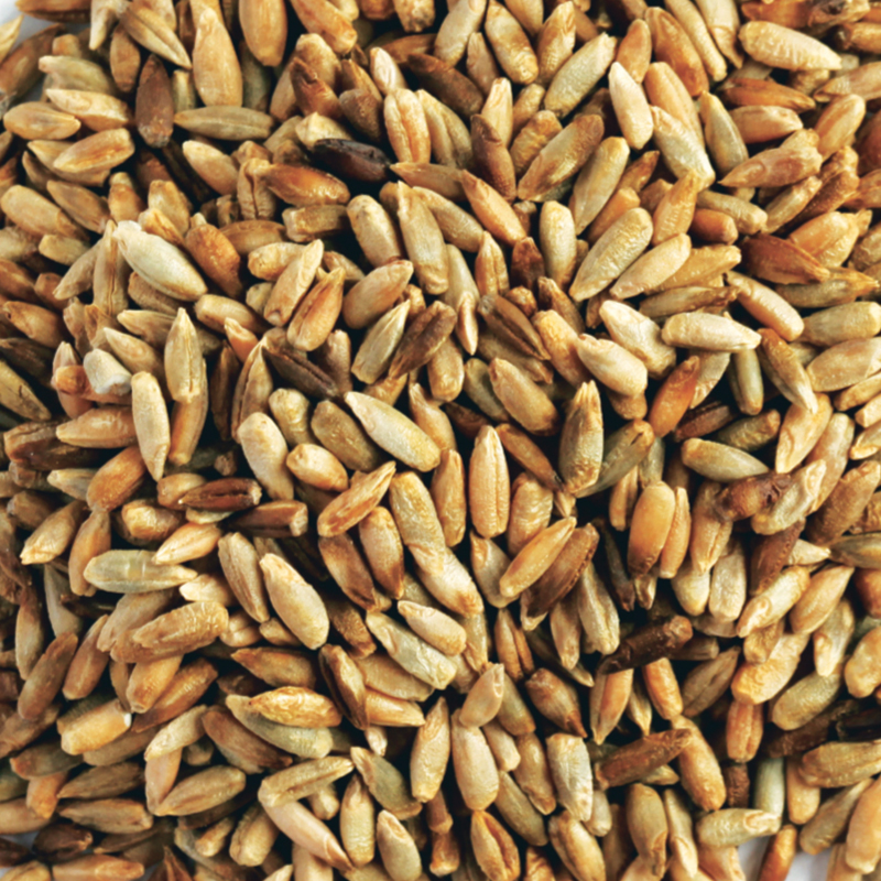 Organic Rye Grains/Rye Berries