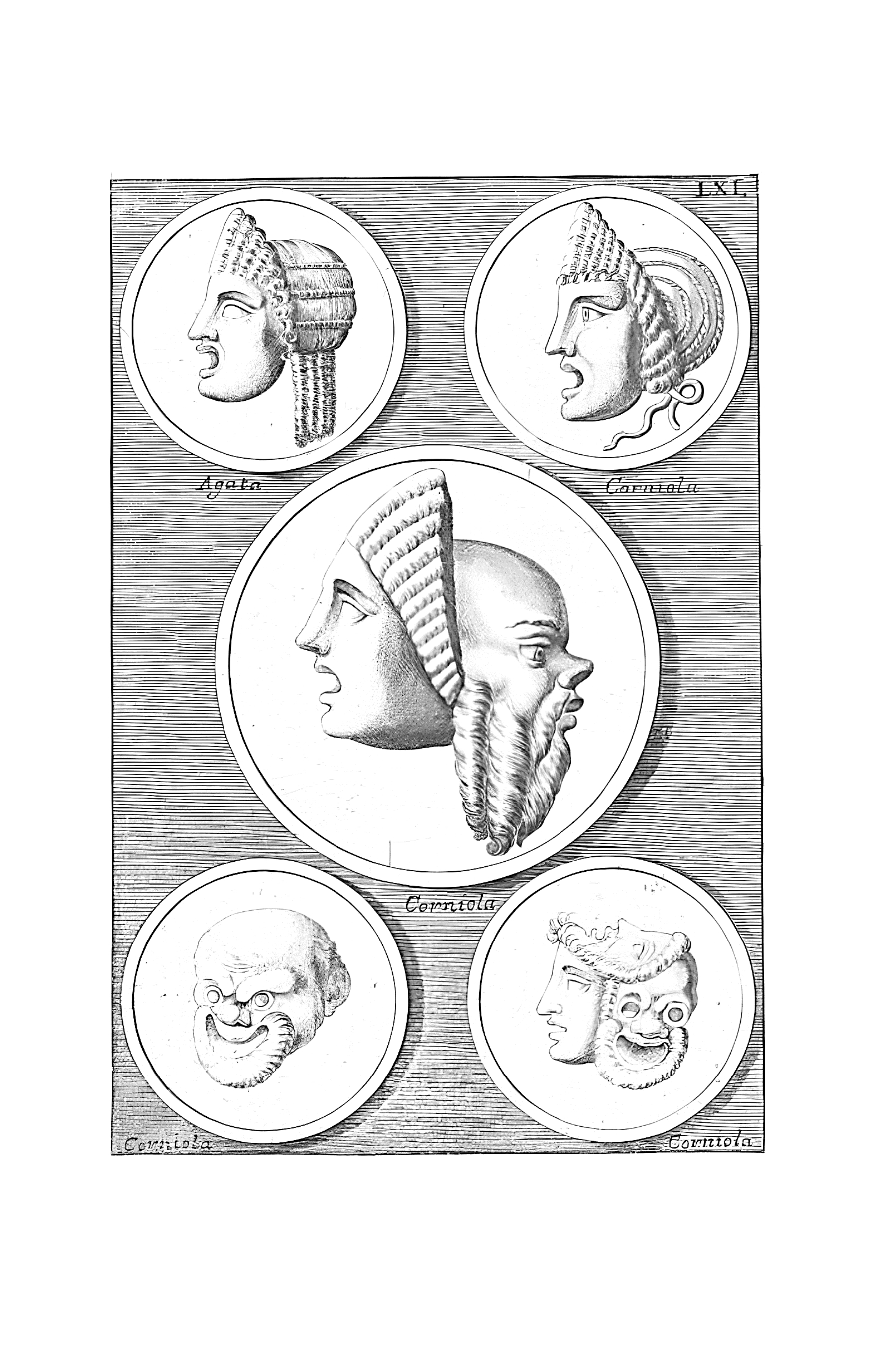 Gerytades