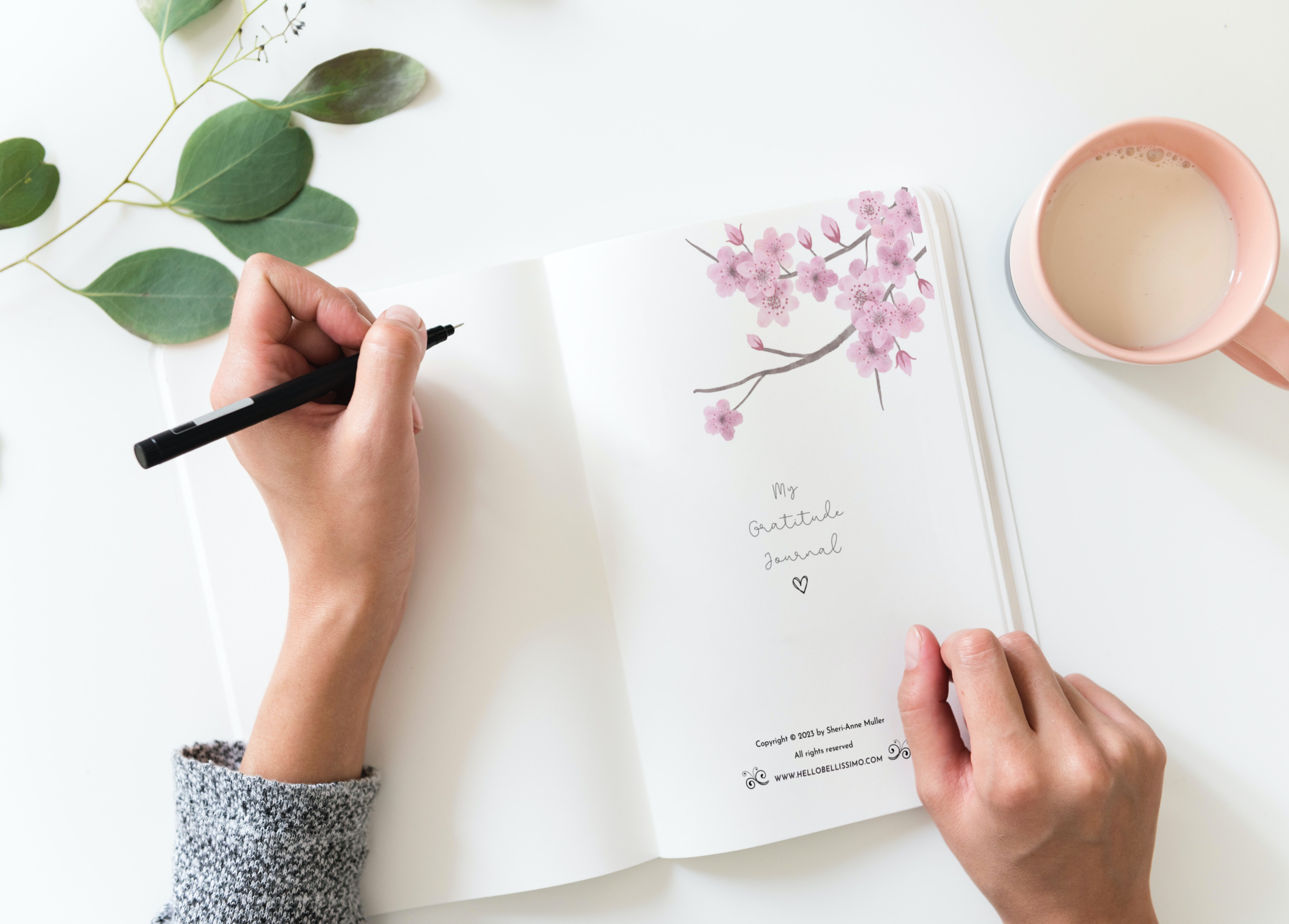 My Gratitude Journal