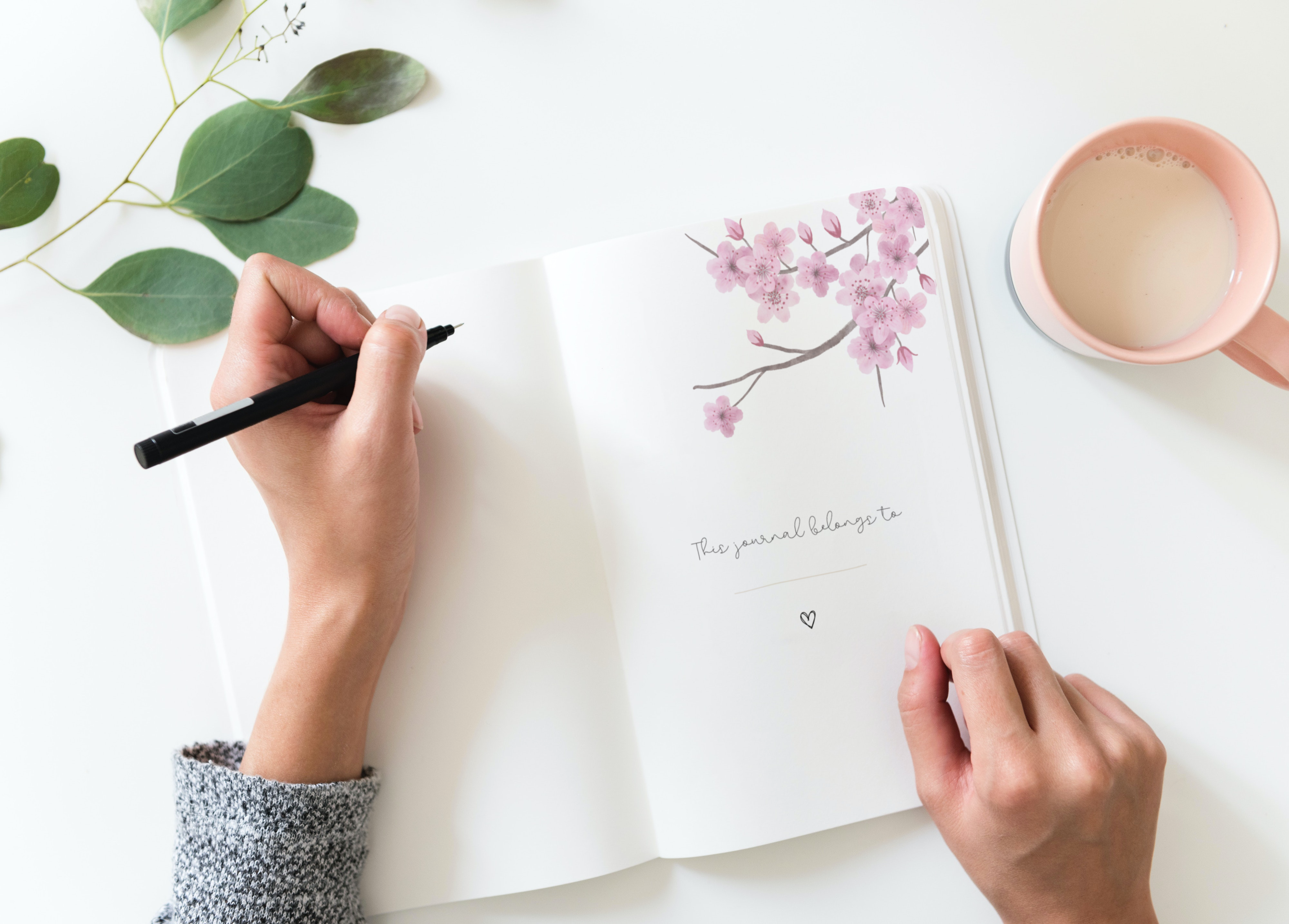 My Gratitude Journal