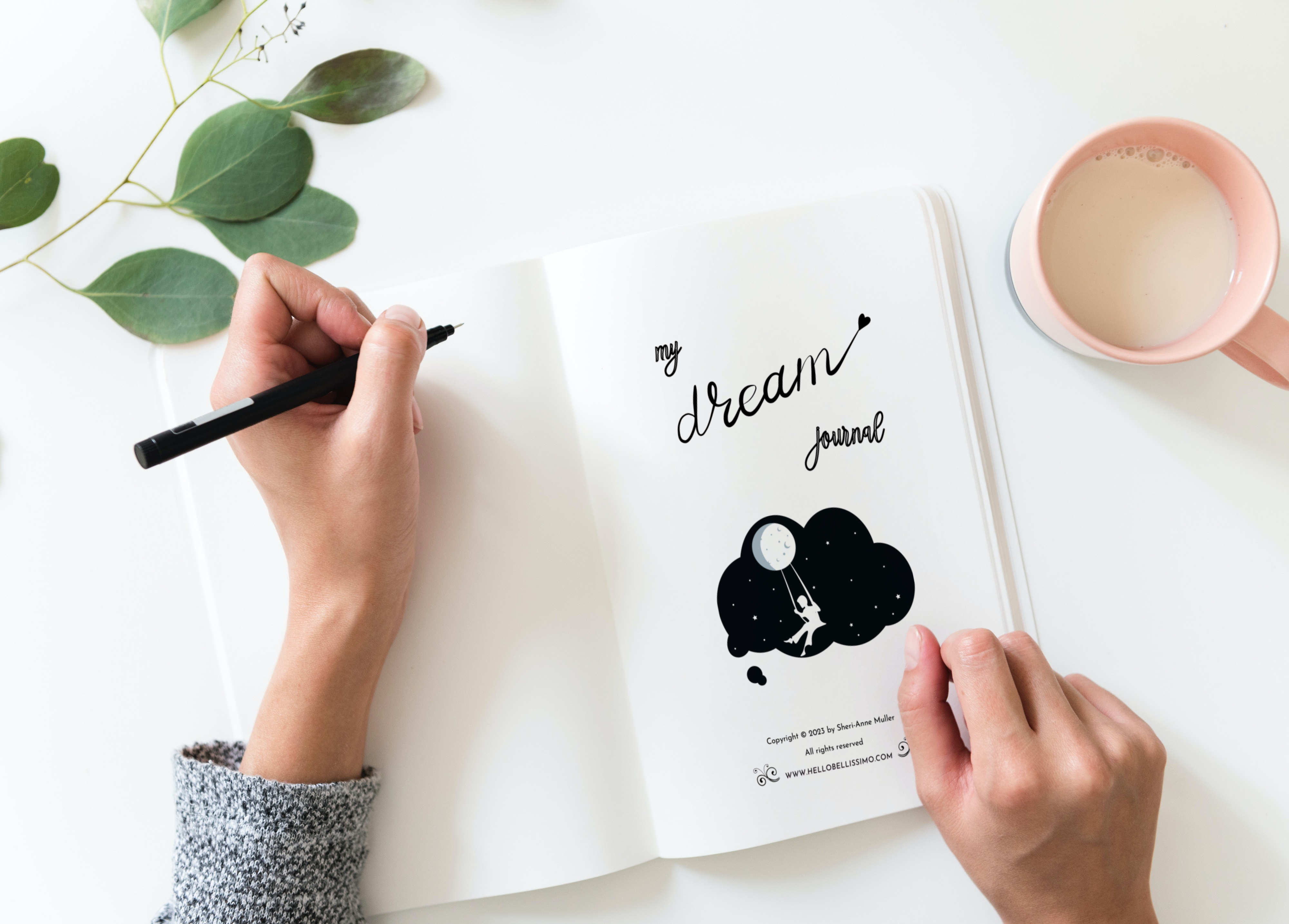 My Dream Journal