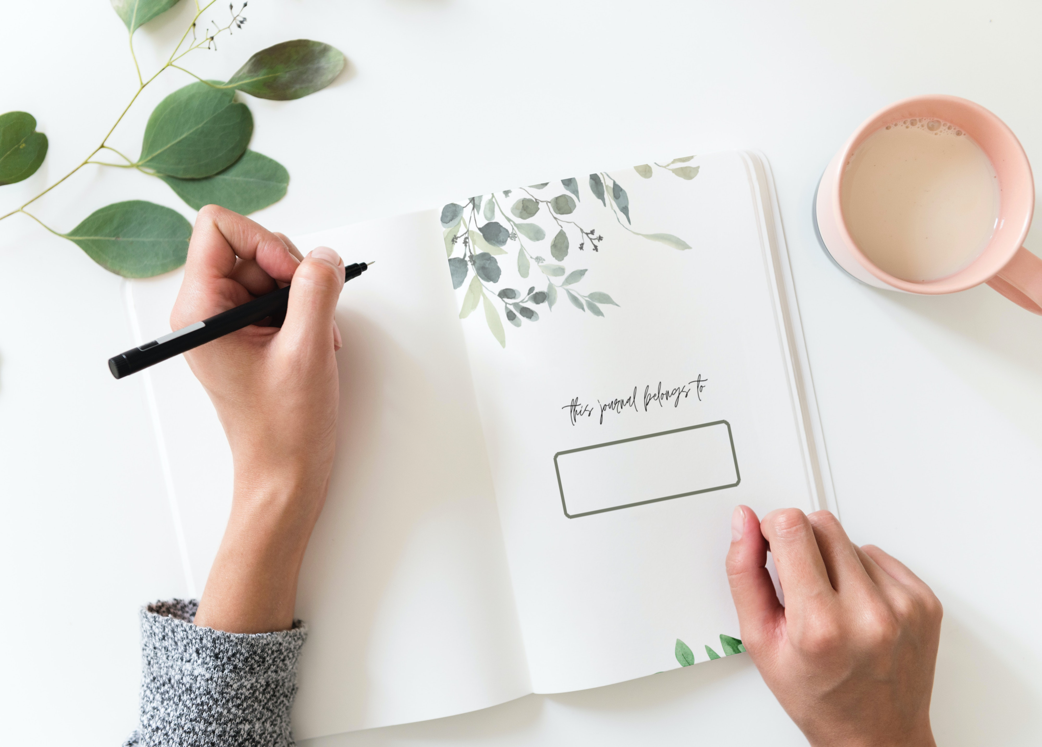 My Prophetic Words Journal