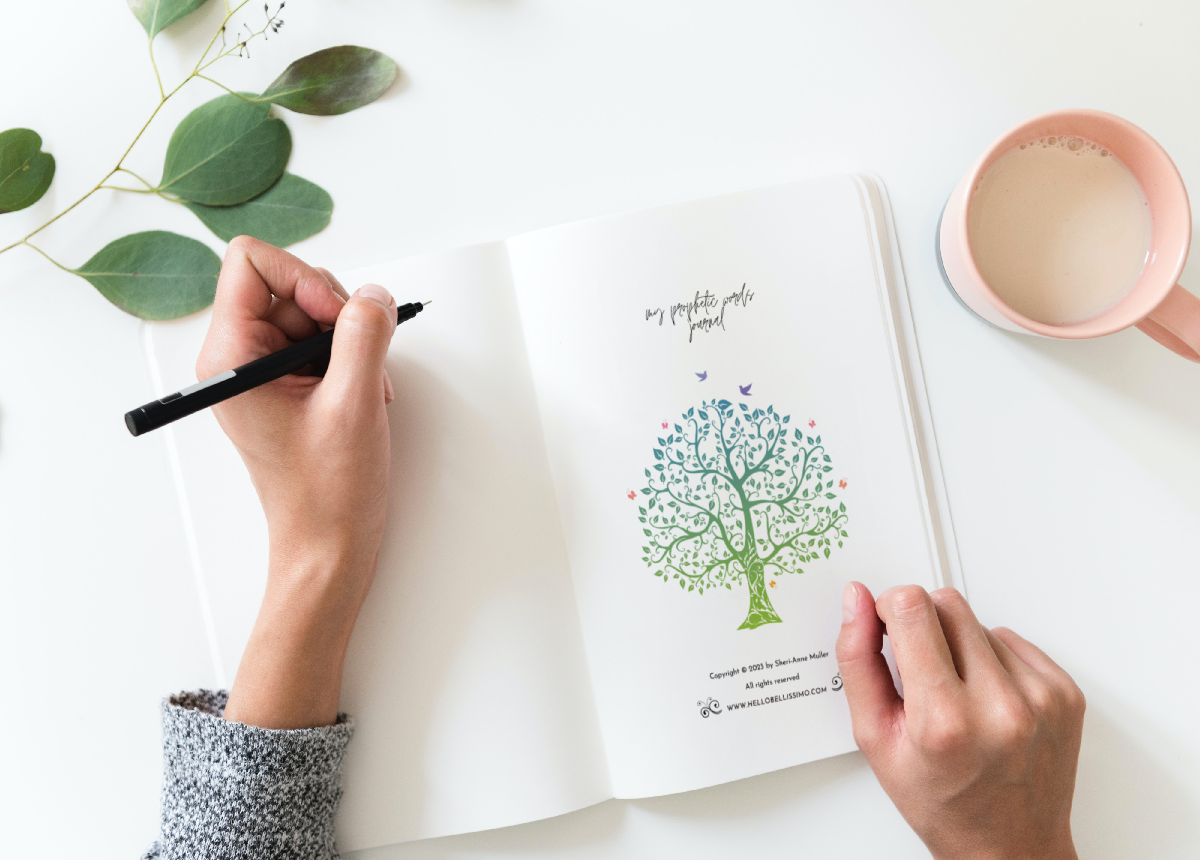 My Prophetic Words Journal