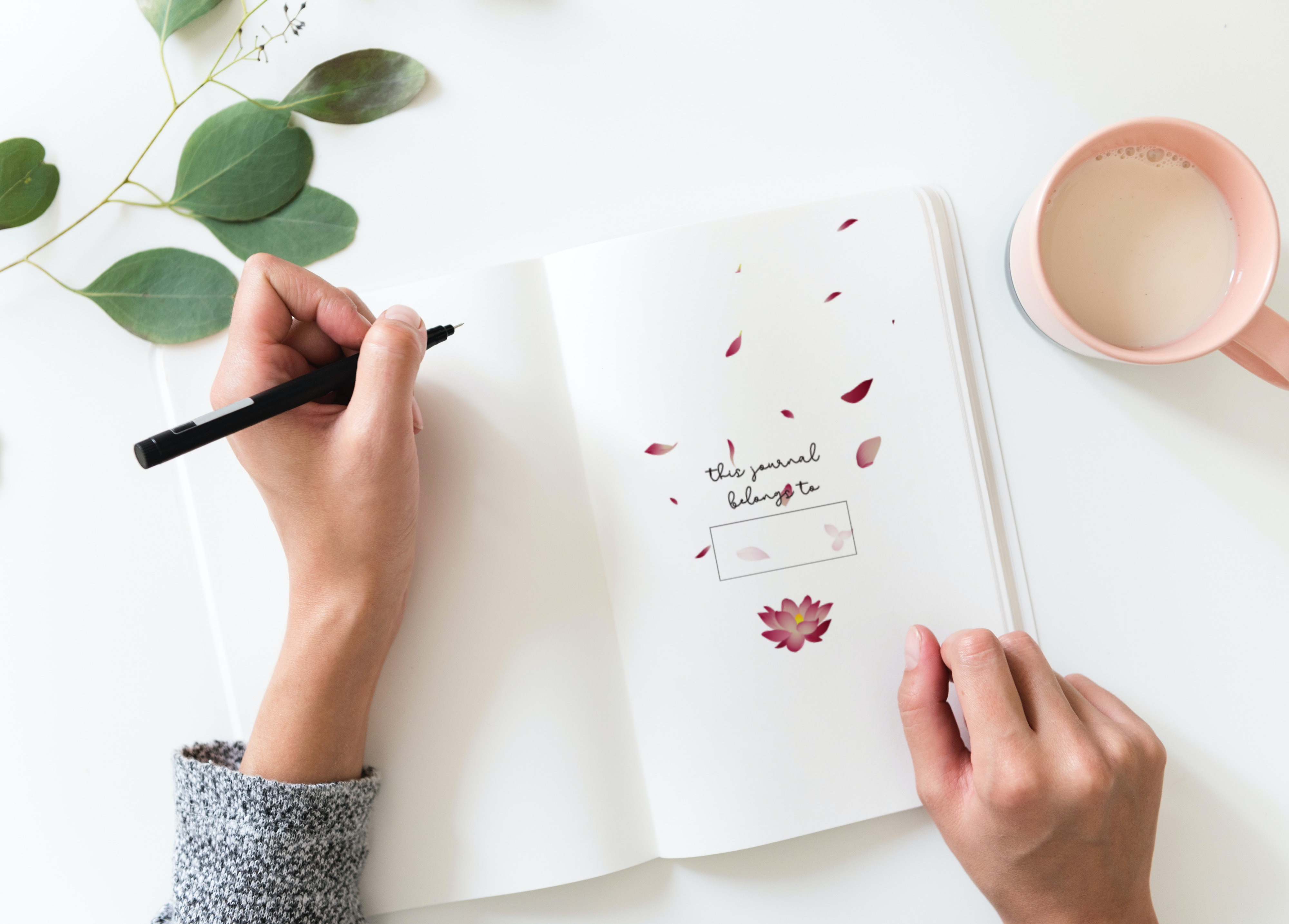 My Reflections Journal