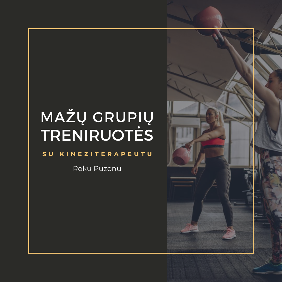 Treniruotės mažoje grupėje (iki 5 asm.)