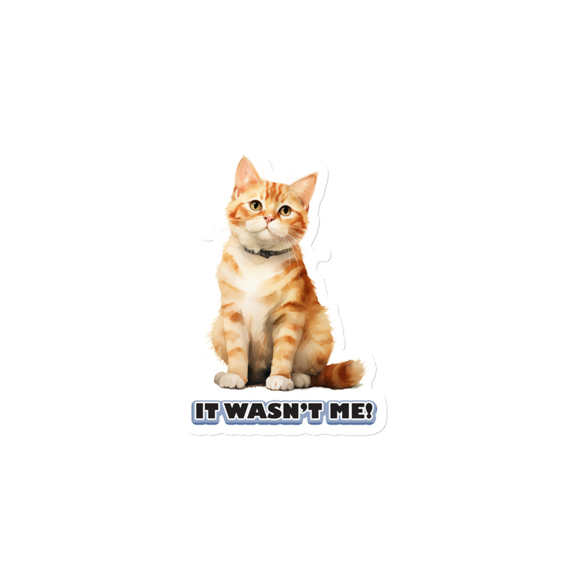 Cat It Wasn't Me Magnet
