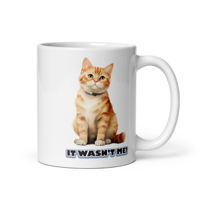 Cat It Wasn't Me mug