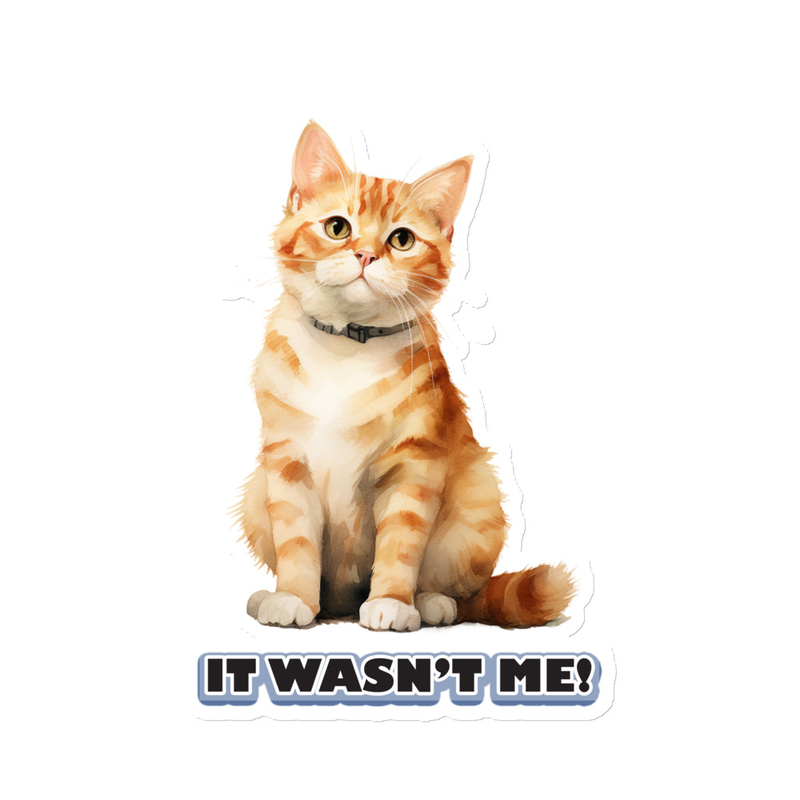 Cat It Wasn't Me Magnet
