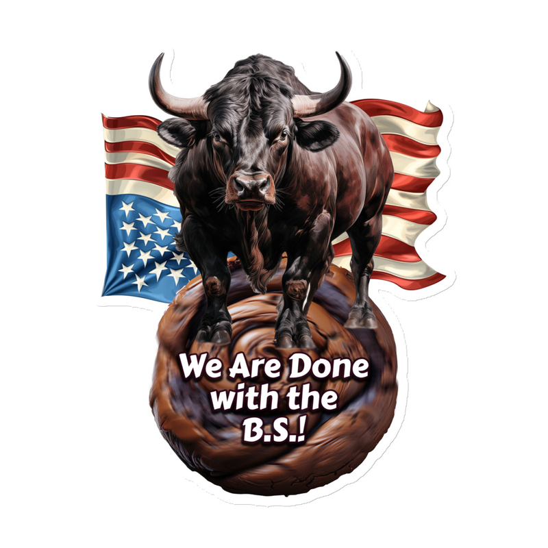 Done With BS USA Magnet