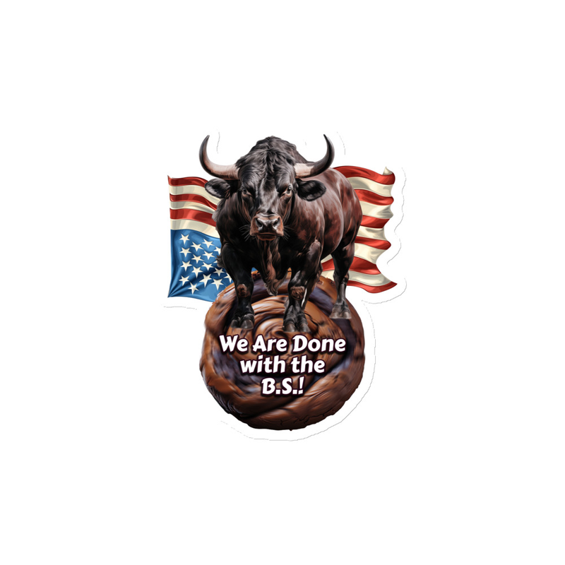 Done With BS USA Magnet