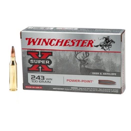 WIN .243 WIN PP 100g   