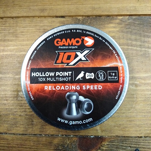 GAMO 10X HOLLOW POINT PELLETS .22