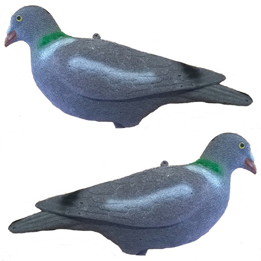 Flocked Pigeon Shell Decoy