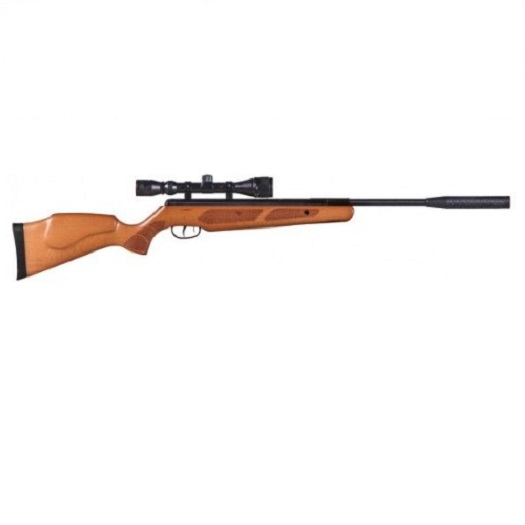 SMK SG XS19  .22 Gas Ram Air Rifle