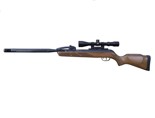 GAMO Varmint Swarm ( Beech) .22 Air Rifle