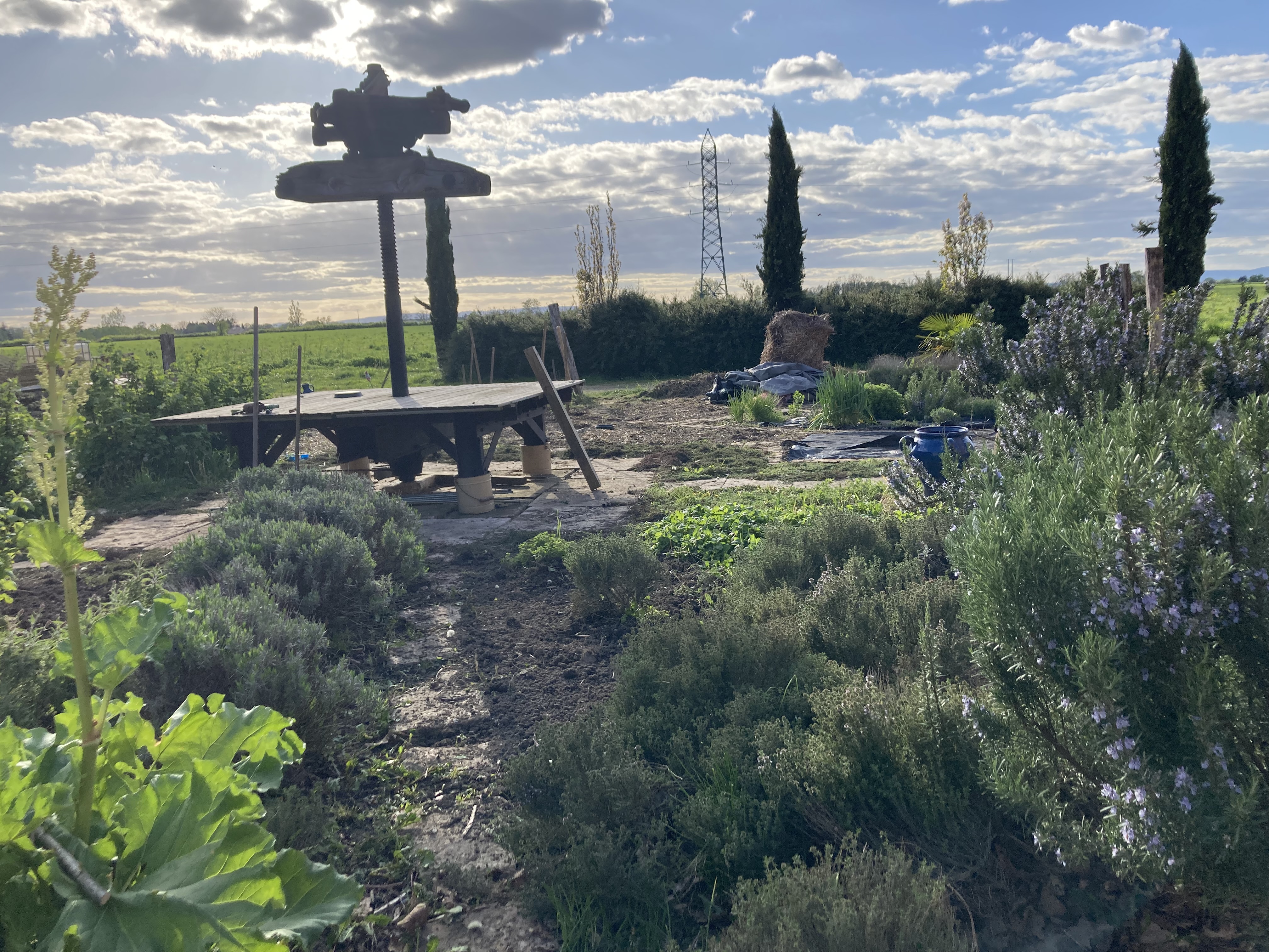 Détente & découverte du jardin préventif d'Aimé (2 heures)
