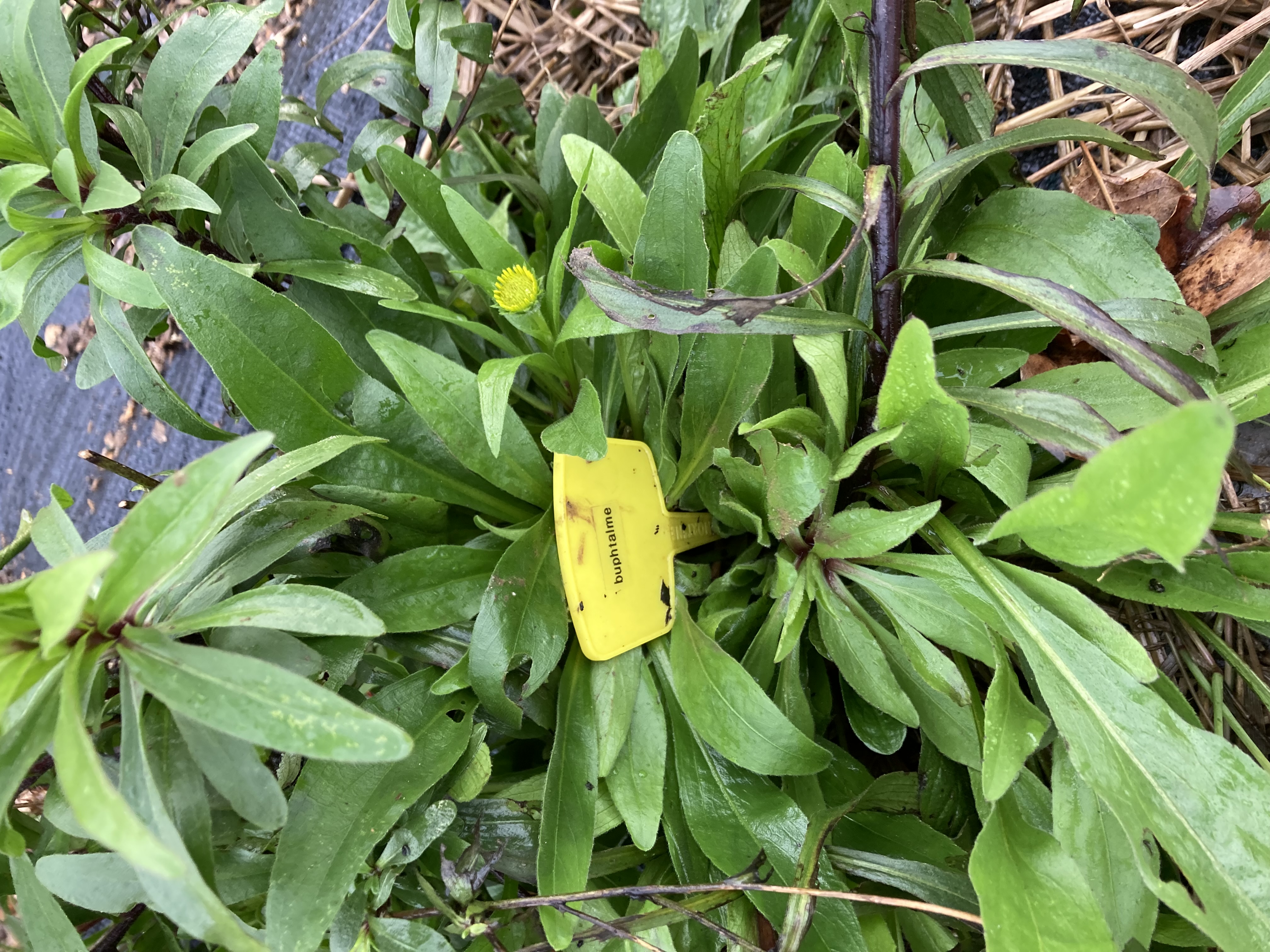 Détente & découverte du jardin préventif d'Aimé (2 heures)
