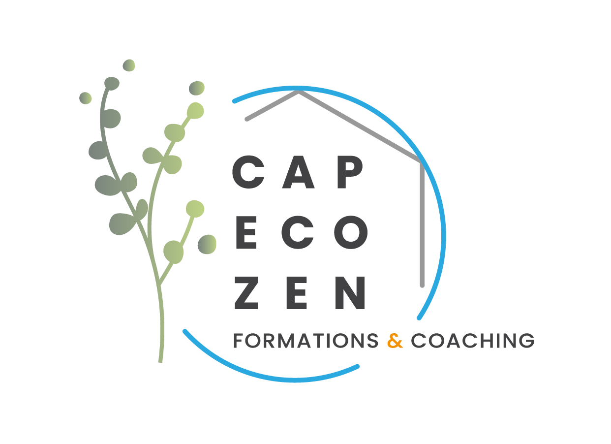 Apprivoiser le stress : Mieux le comprendre, Les techniques & outils à découvrir pour s'adapter