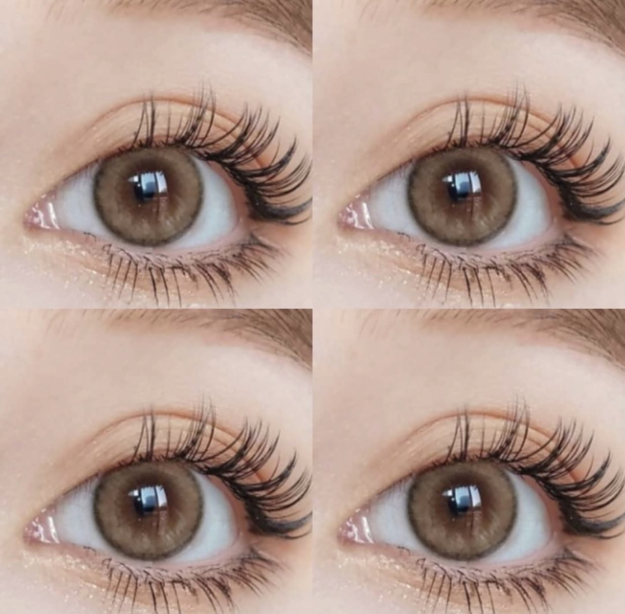 Mini Olivia Light Brown (-6.50) & (-7.00)