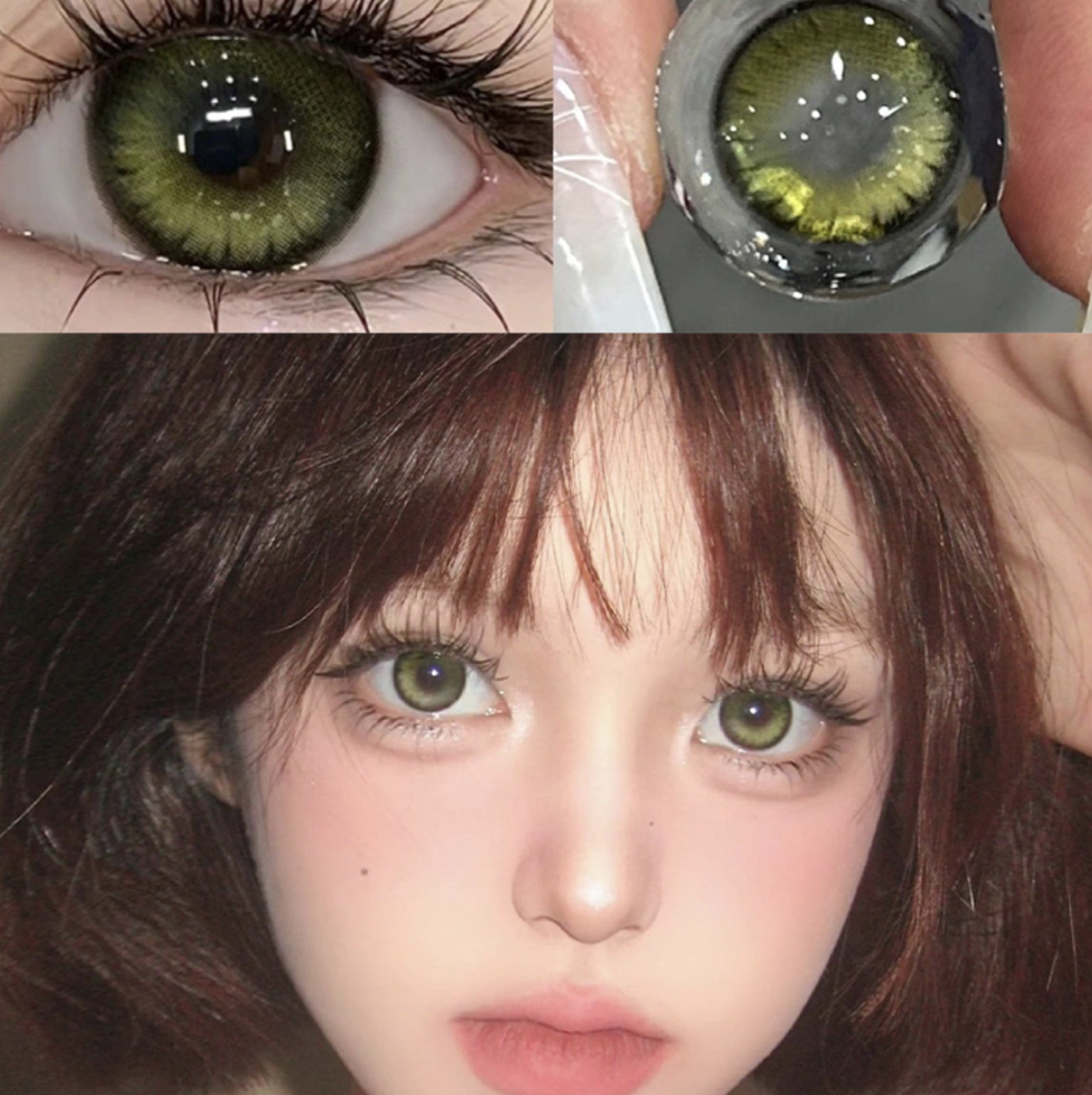 Midnight Forest Green