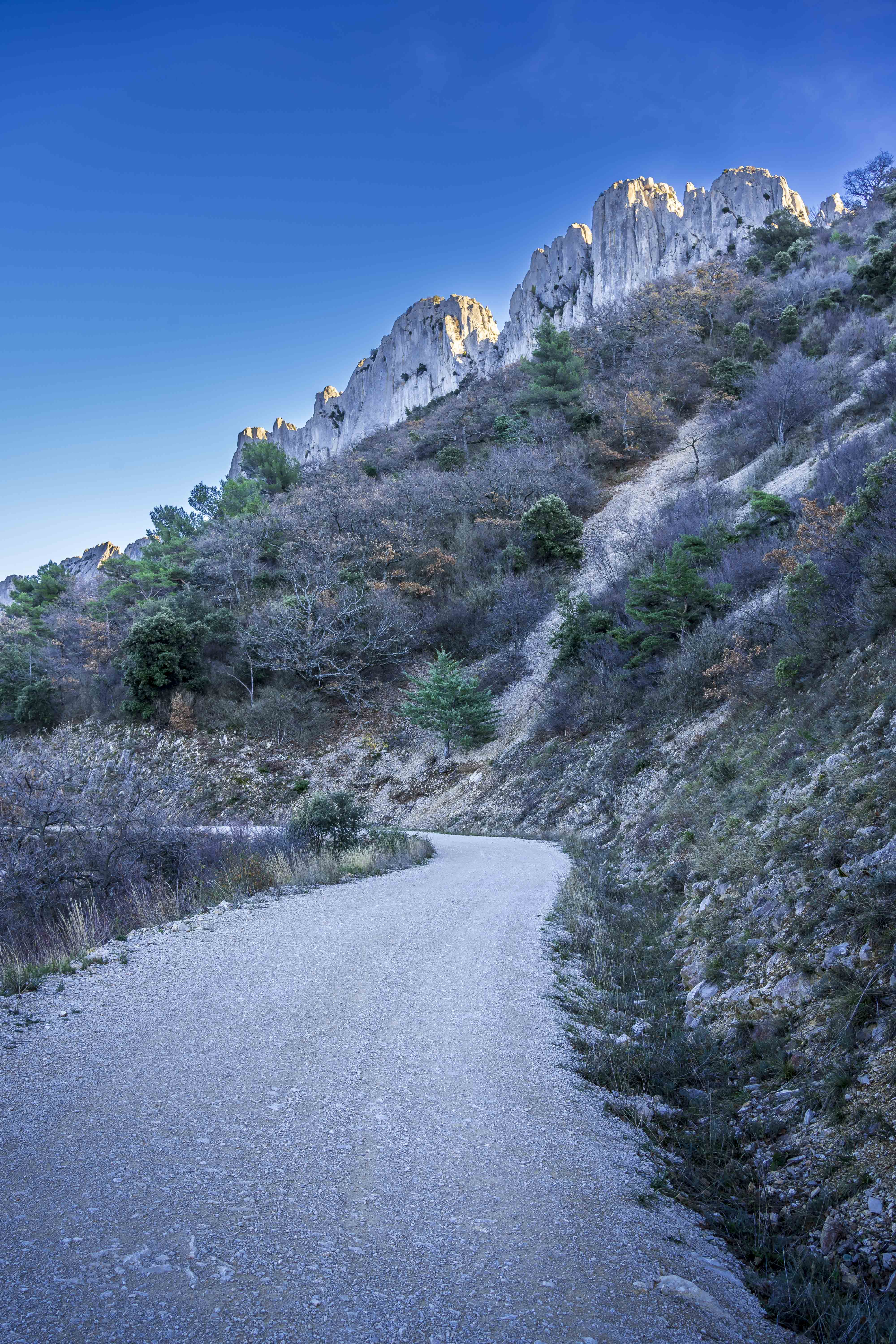 Dentelles de Montmirail
