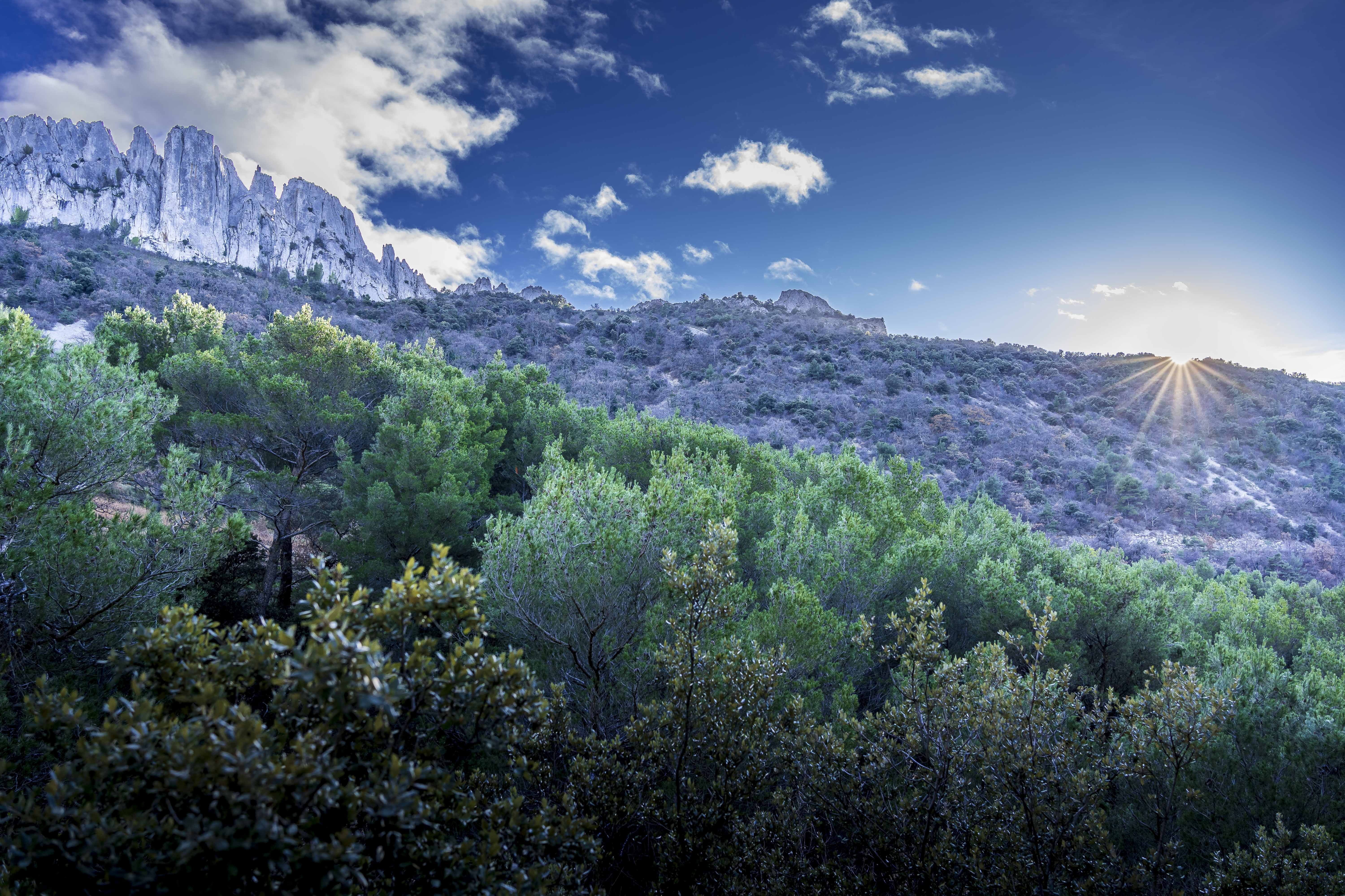 Soleil aux Dentelles de Montmirail