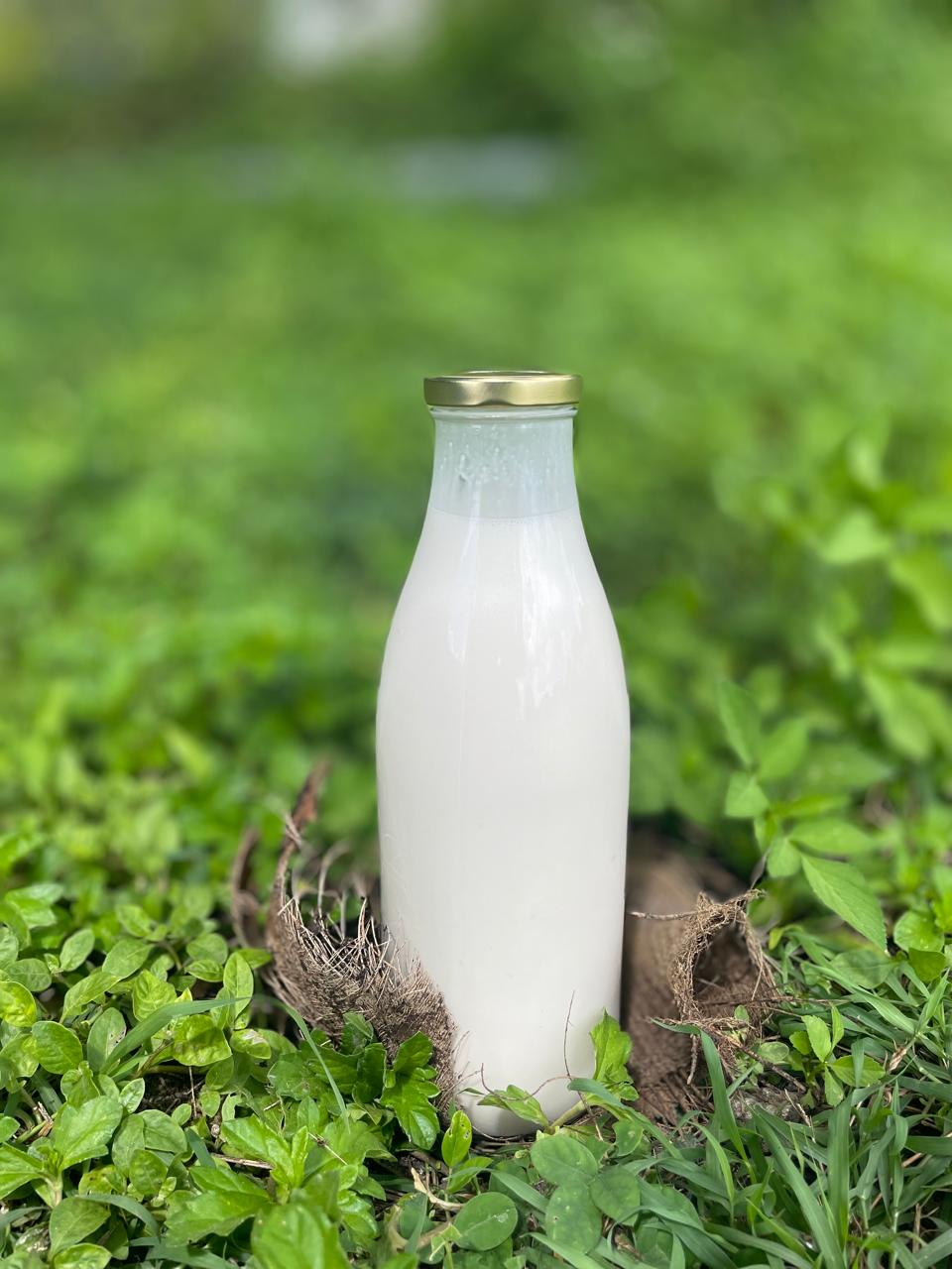 Lait de coco frais 100% Brut (pressé avec peau) - 1L