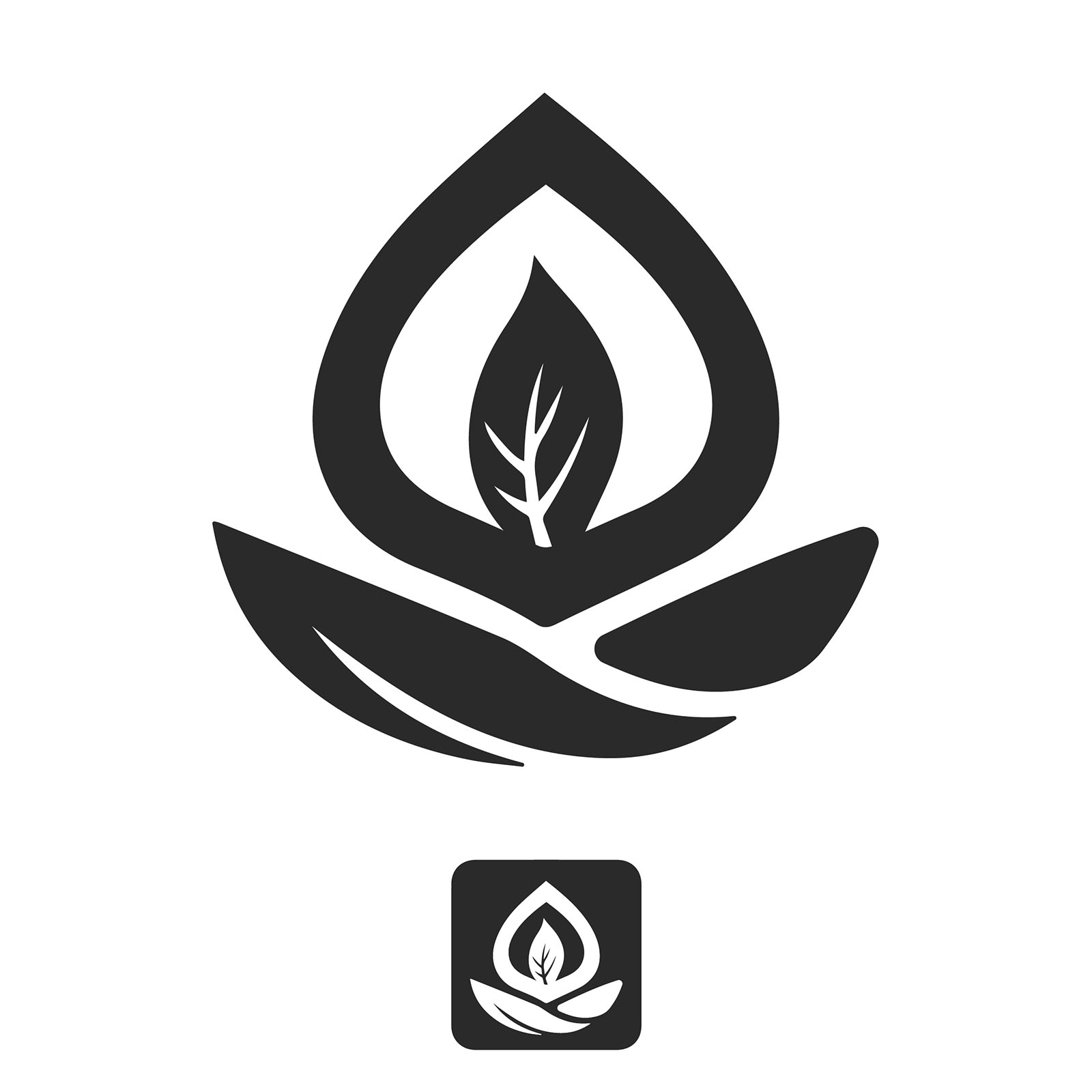 Natural Representation Logo
