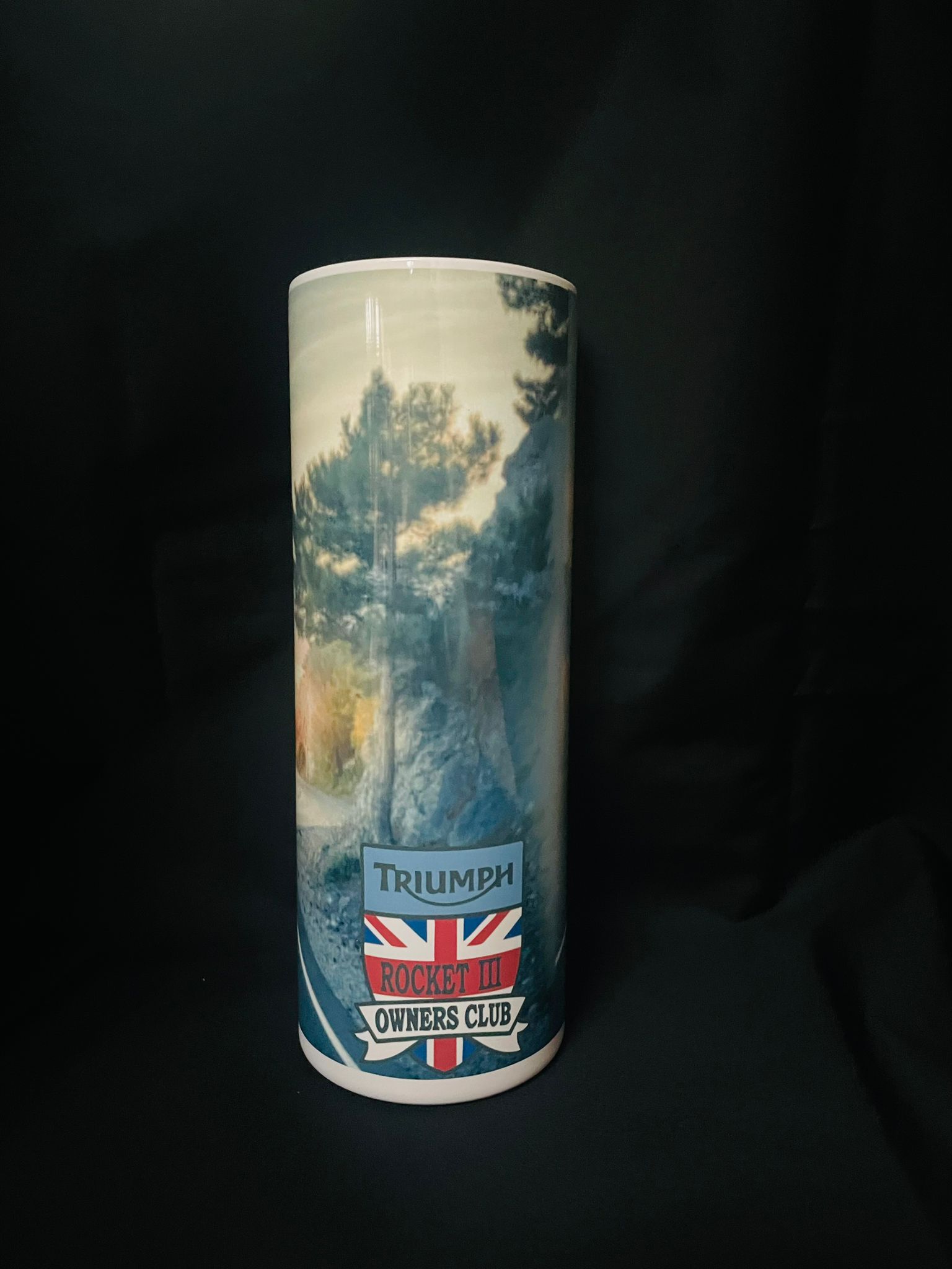 Vacuum Insulated 20oz stainless steel tumbler