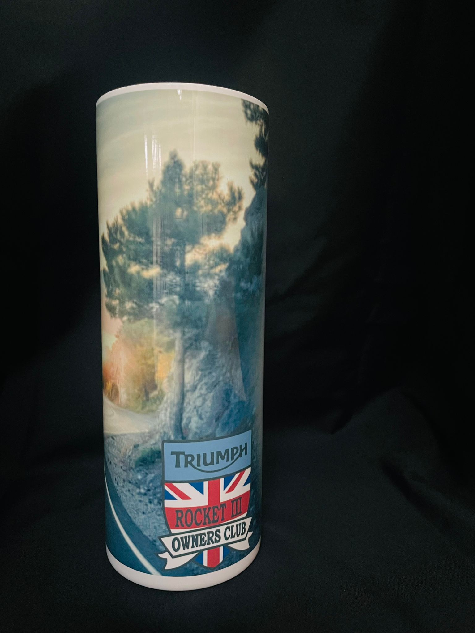 Vacuum Insulated 20oz stainless steel tumbler