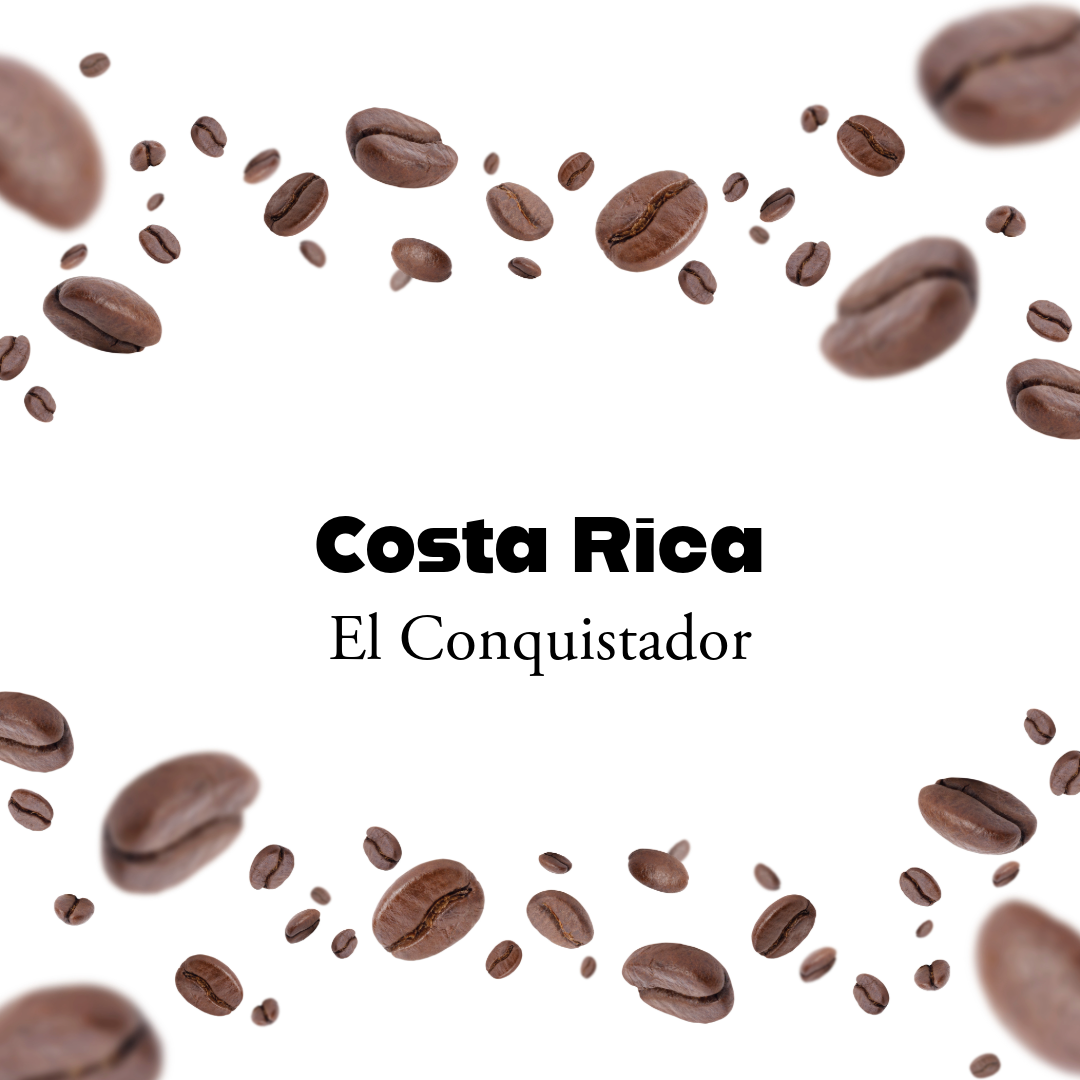 Costa Rica El Conquistador