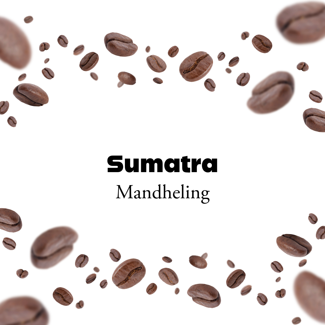 Sumatra Mandheling