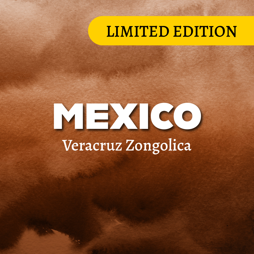 Mexico Veracruz Zongolica