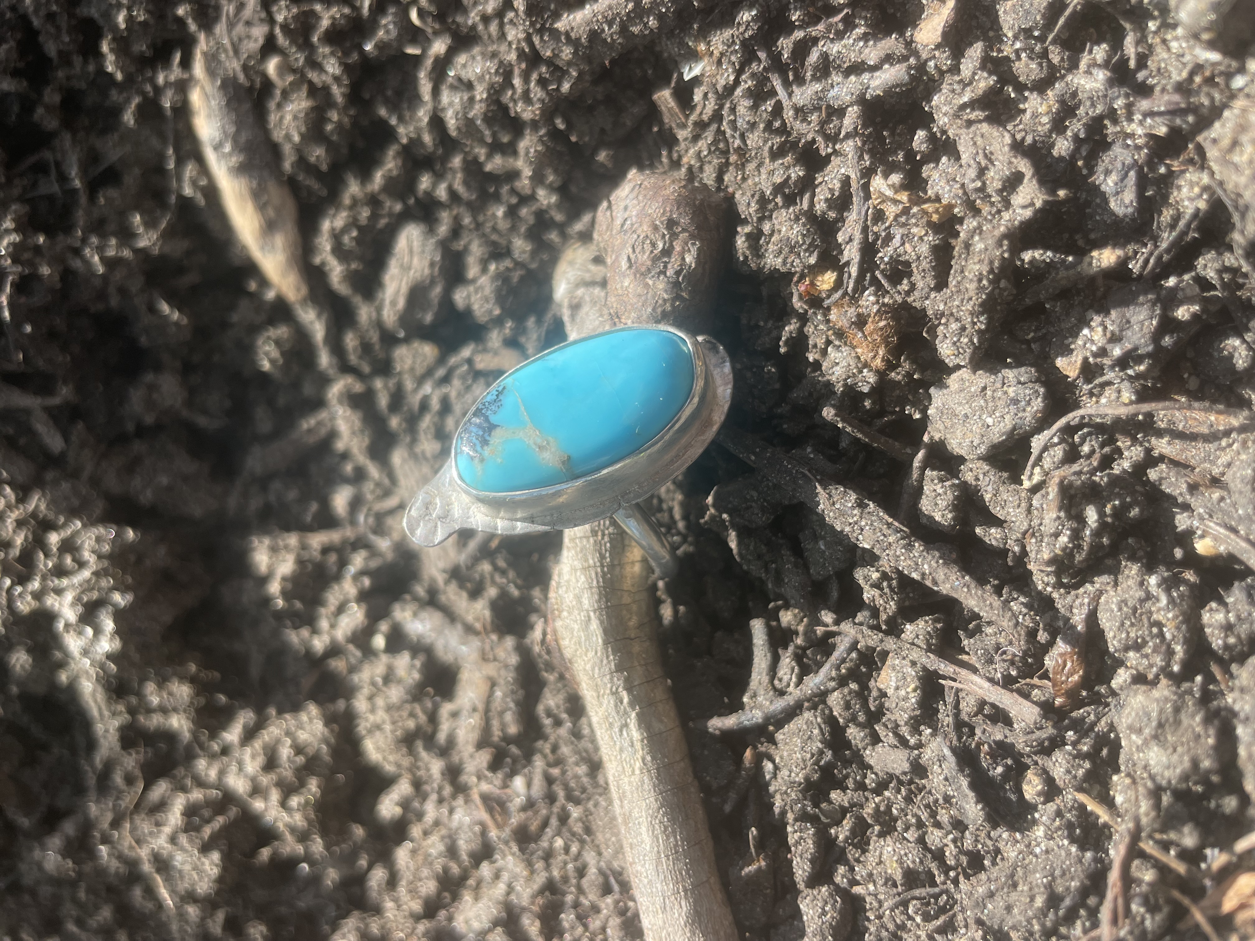 Size 8.15 "Unicorn Crest" Kingman Turquoise (1" x 0.5" Cab) in .925 Sterling Silver Ring with single round 12-gauge wire ring shank