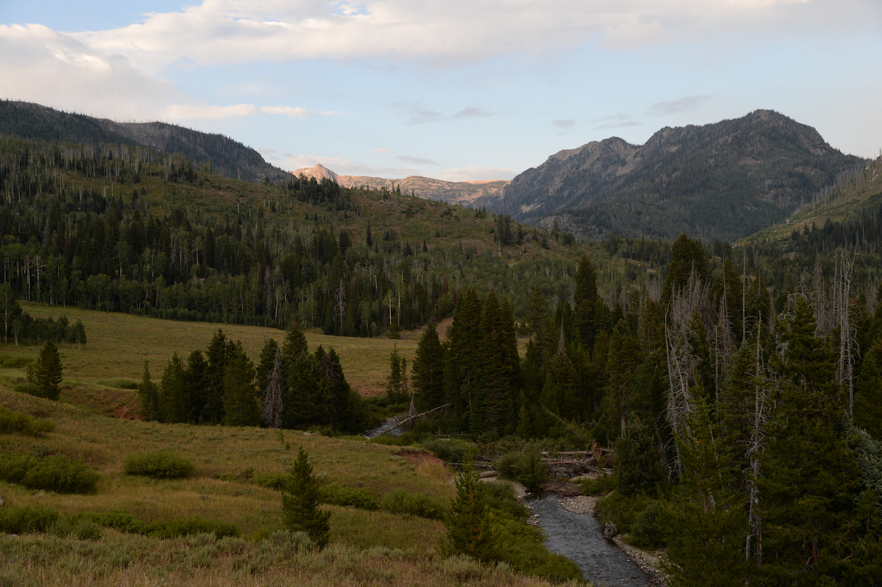 S06 North Elk River, Mt Zirkel Print