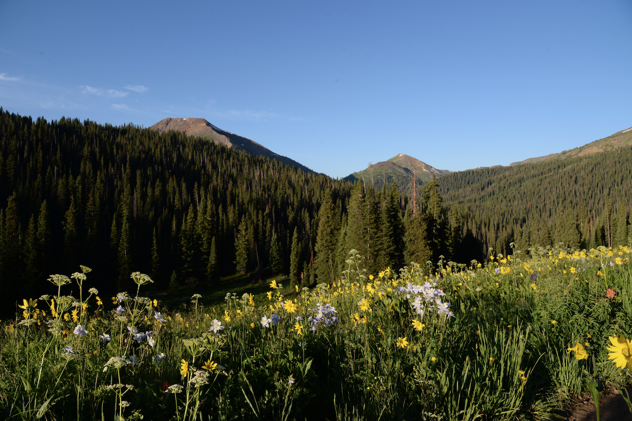 S10 Wildflowers, Mount Baldy Sunrise Print