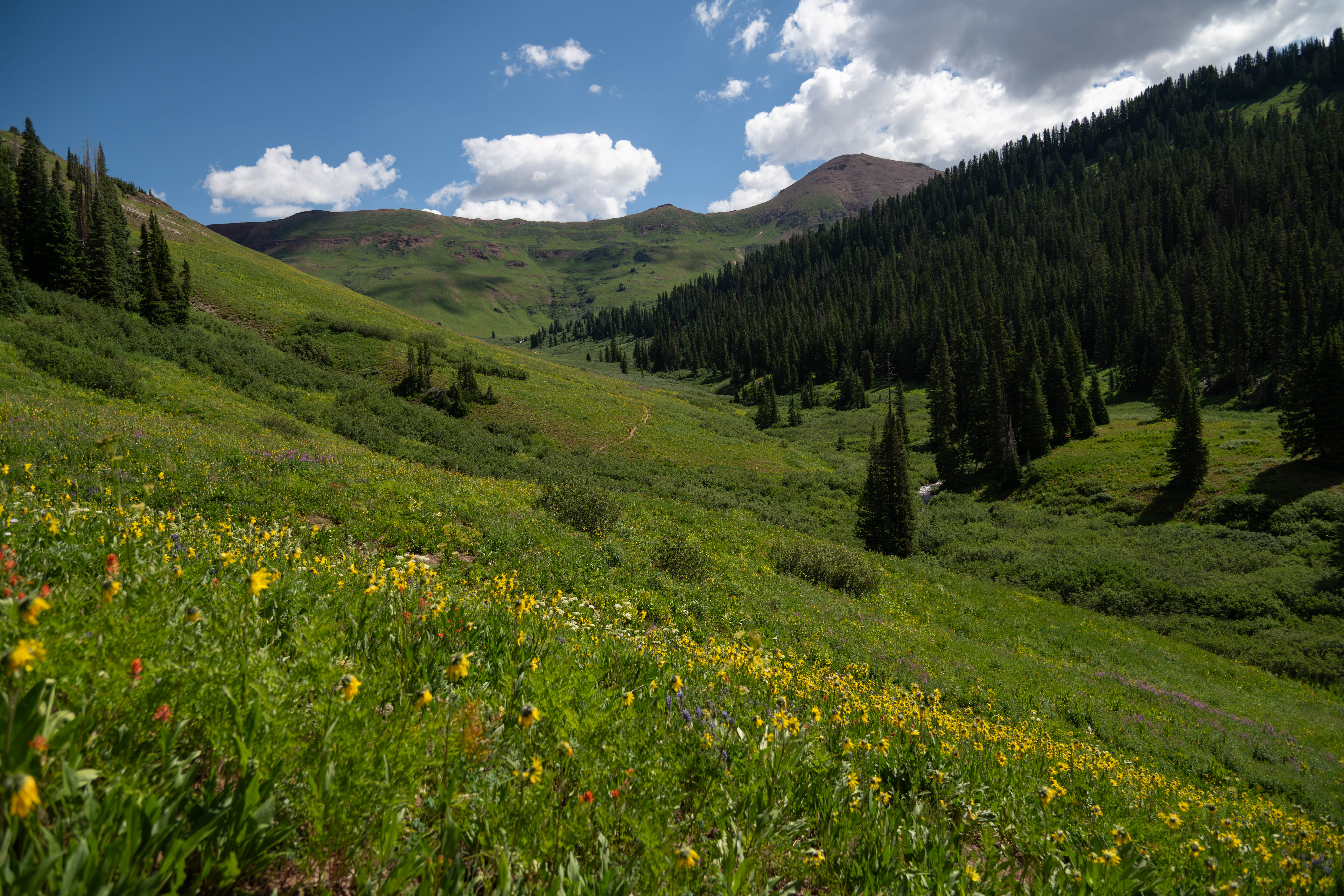 West Maroon Valley Summer Morning Print - S102
