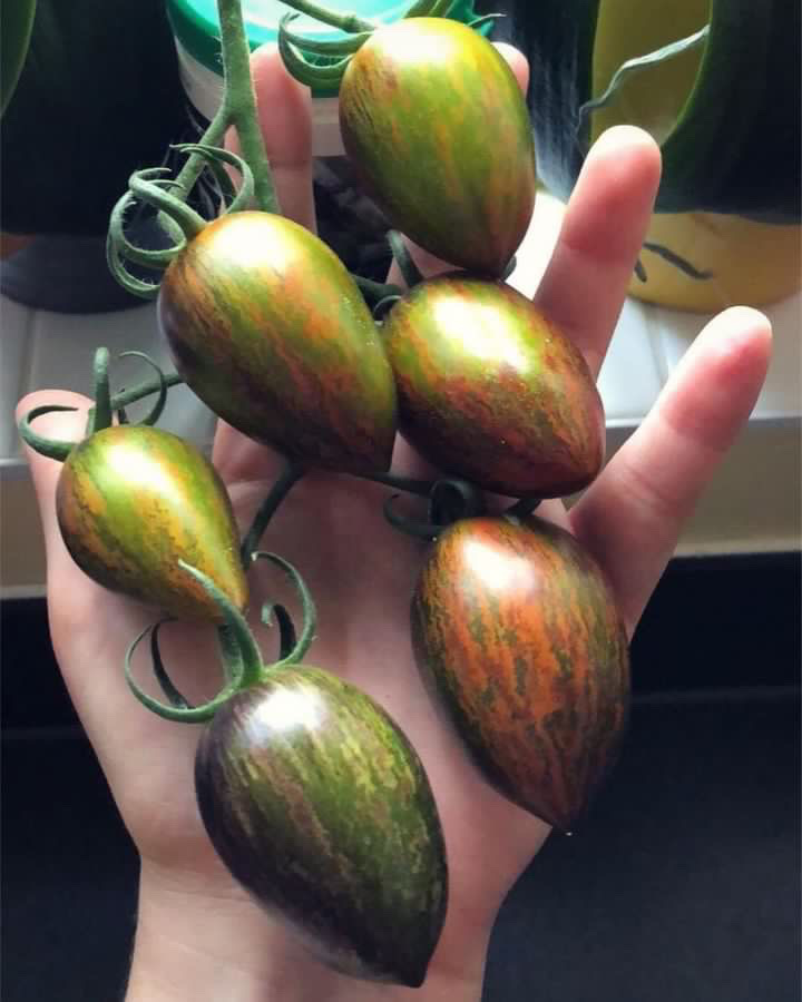 Brad's Atomic Grape