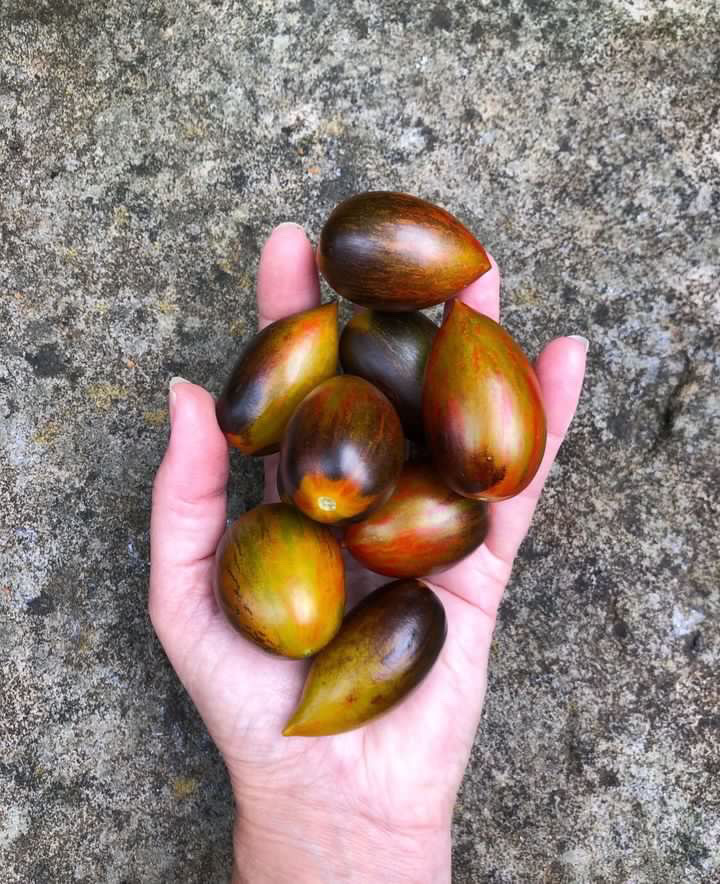 Brad's Atomic Grape