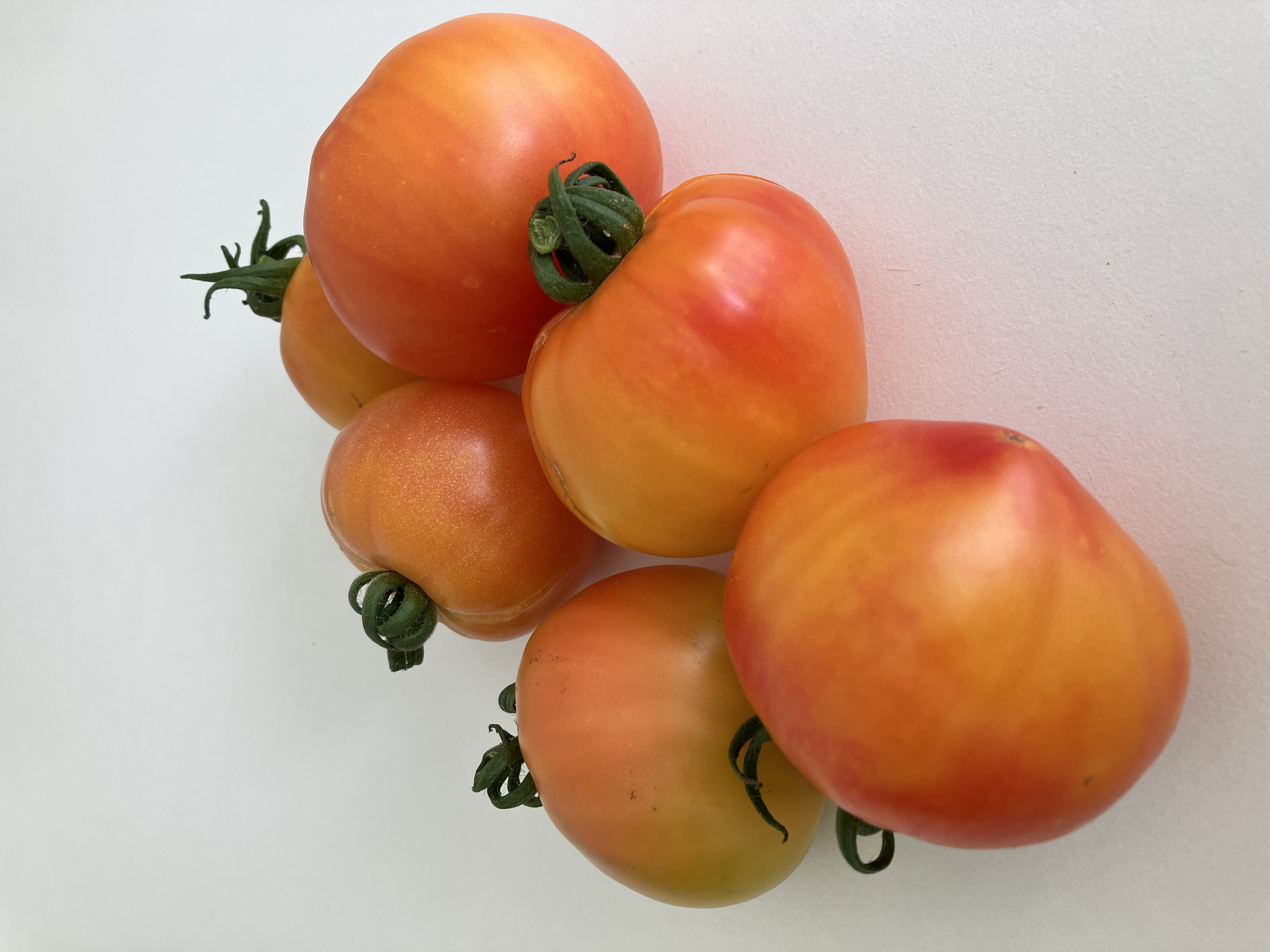 Karma Peach