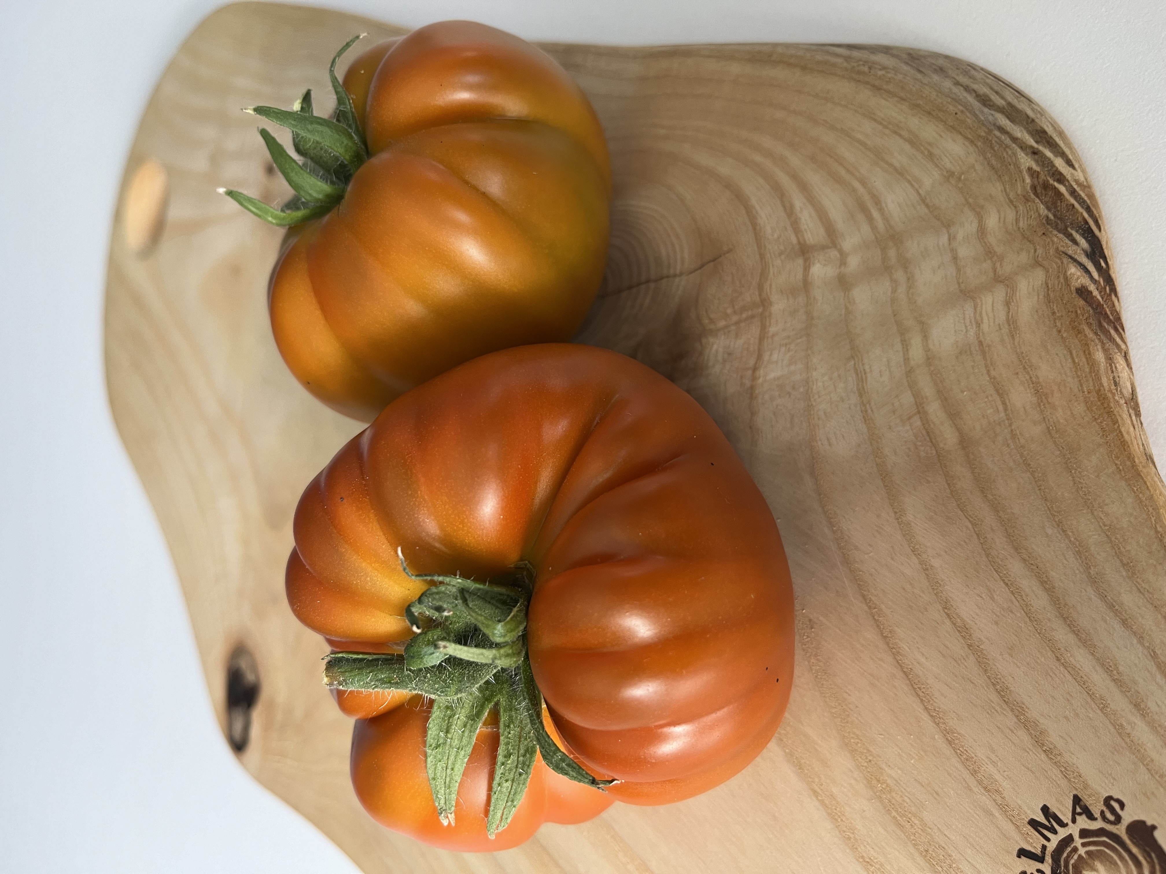 Thorburn's Terracotta