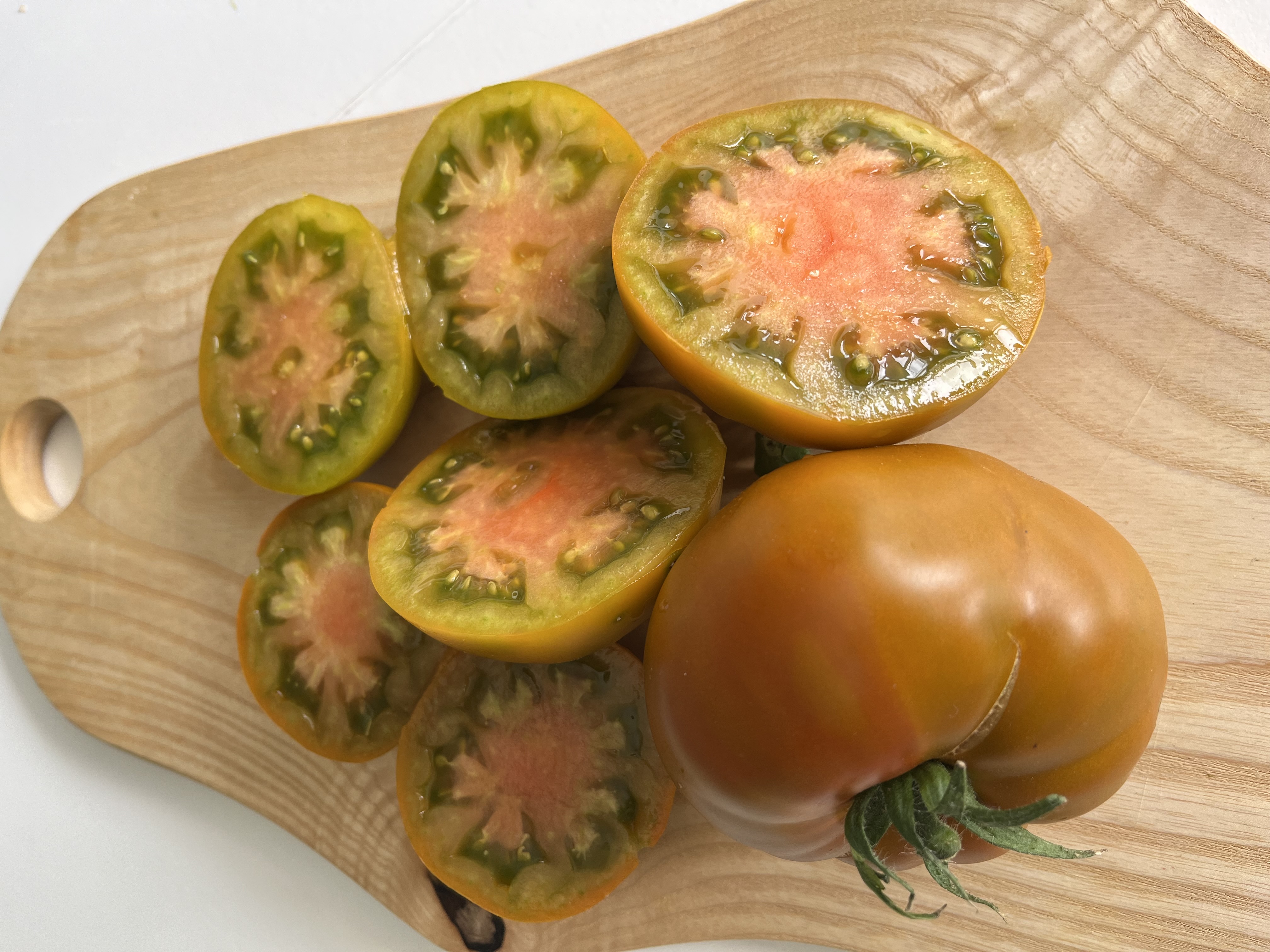 Thorburn's Terracotta