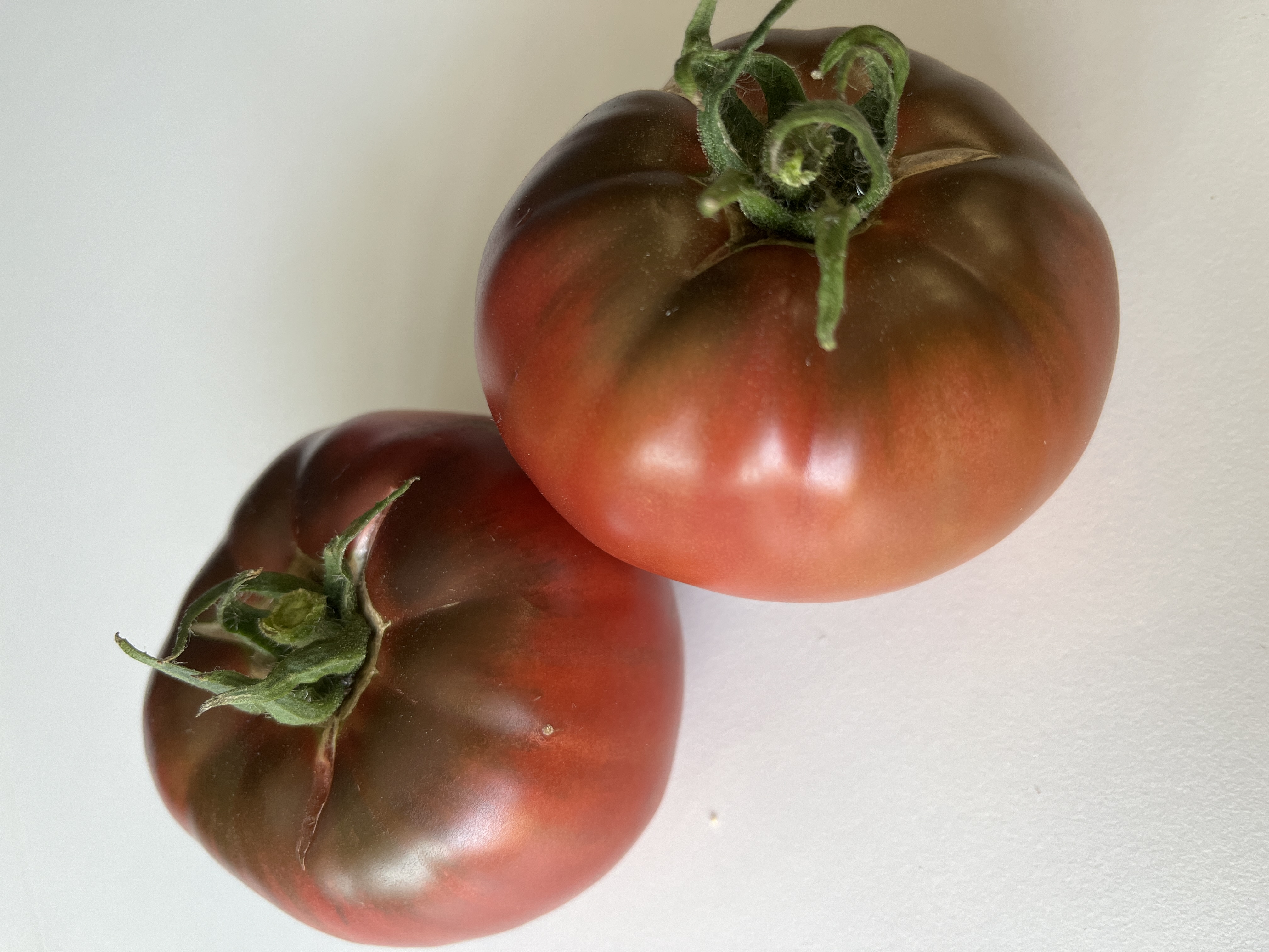 Cherokee Purple