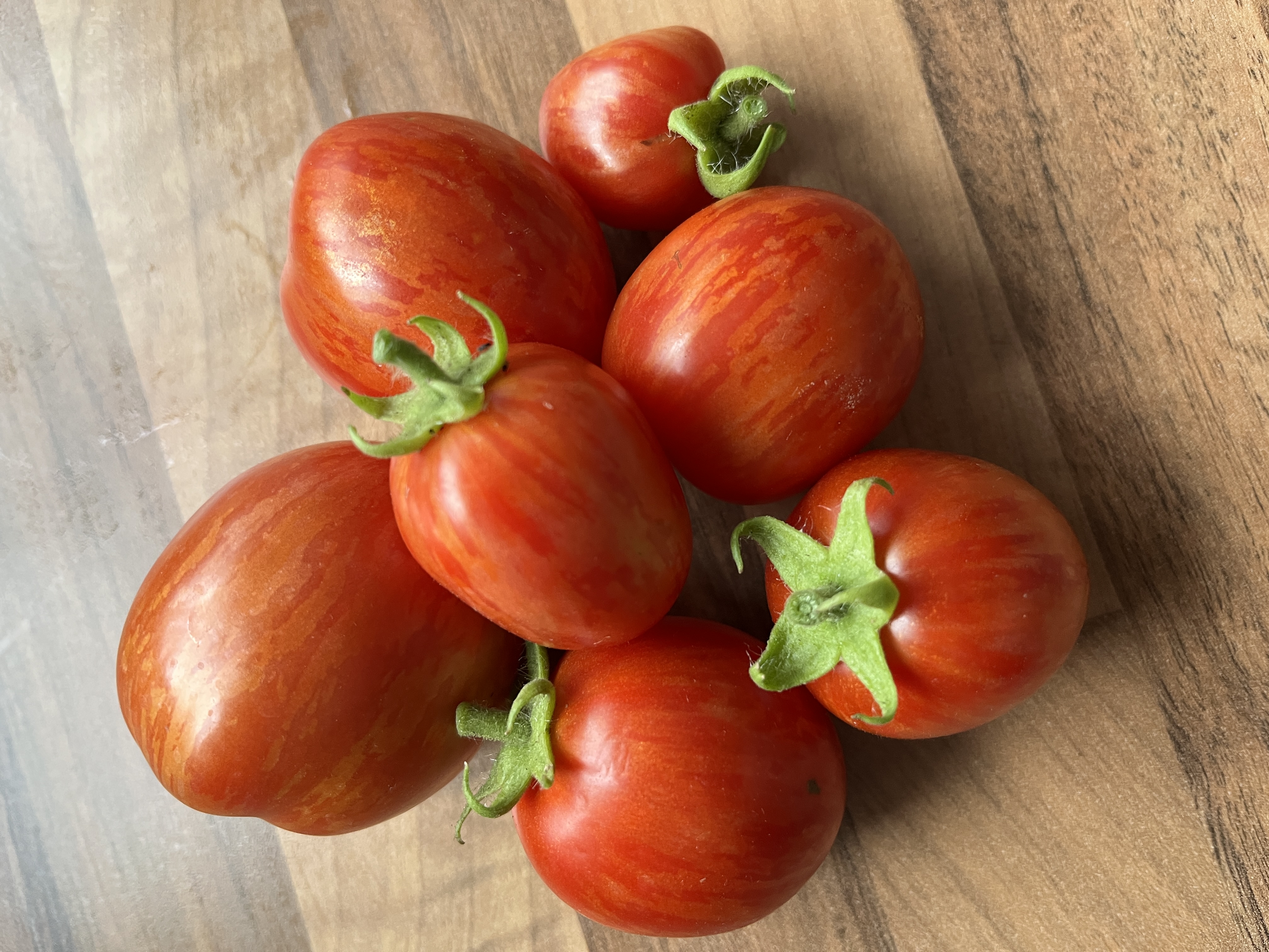 Tigret Red